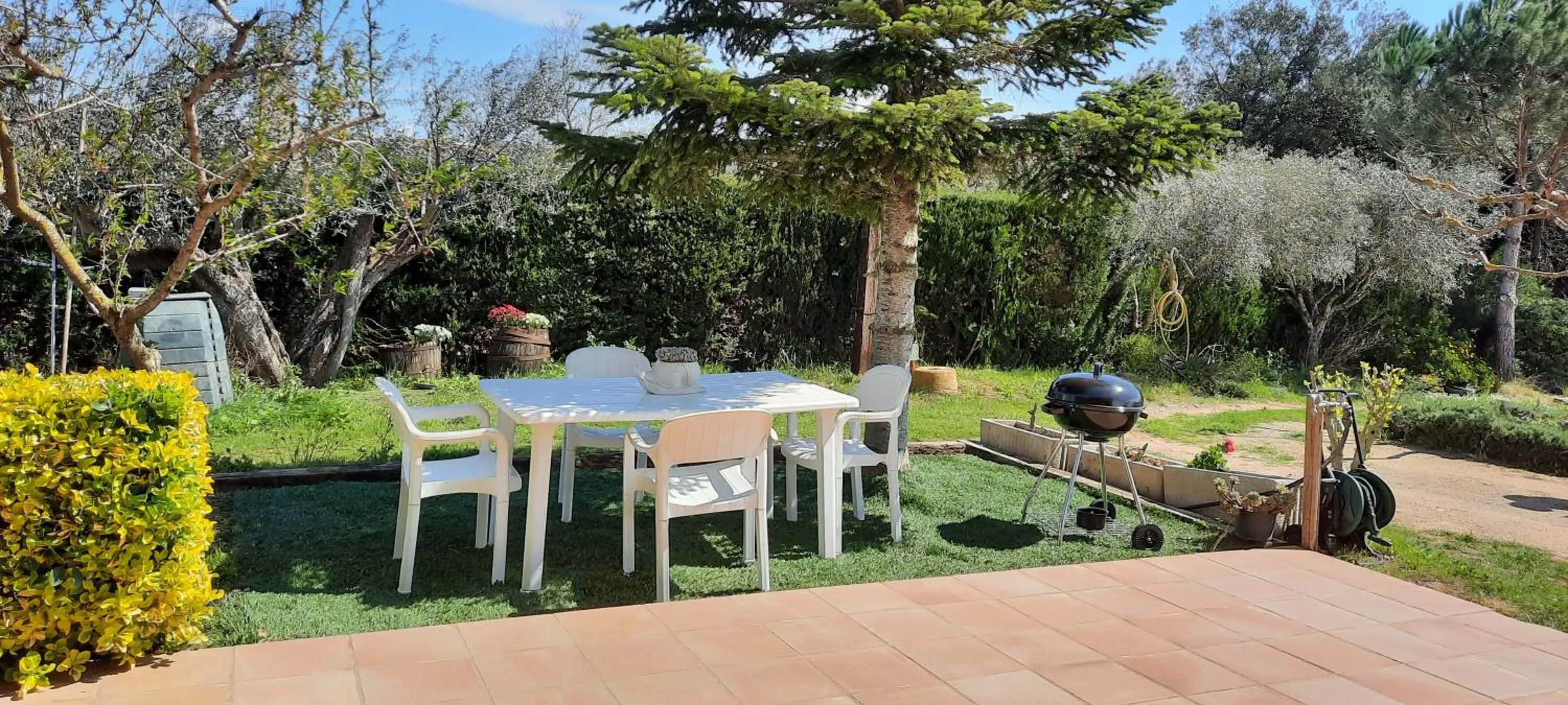 Spring in Can Carbó