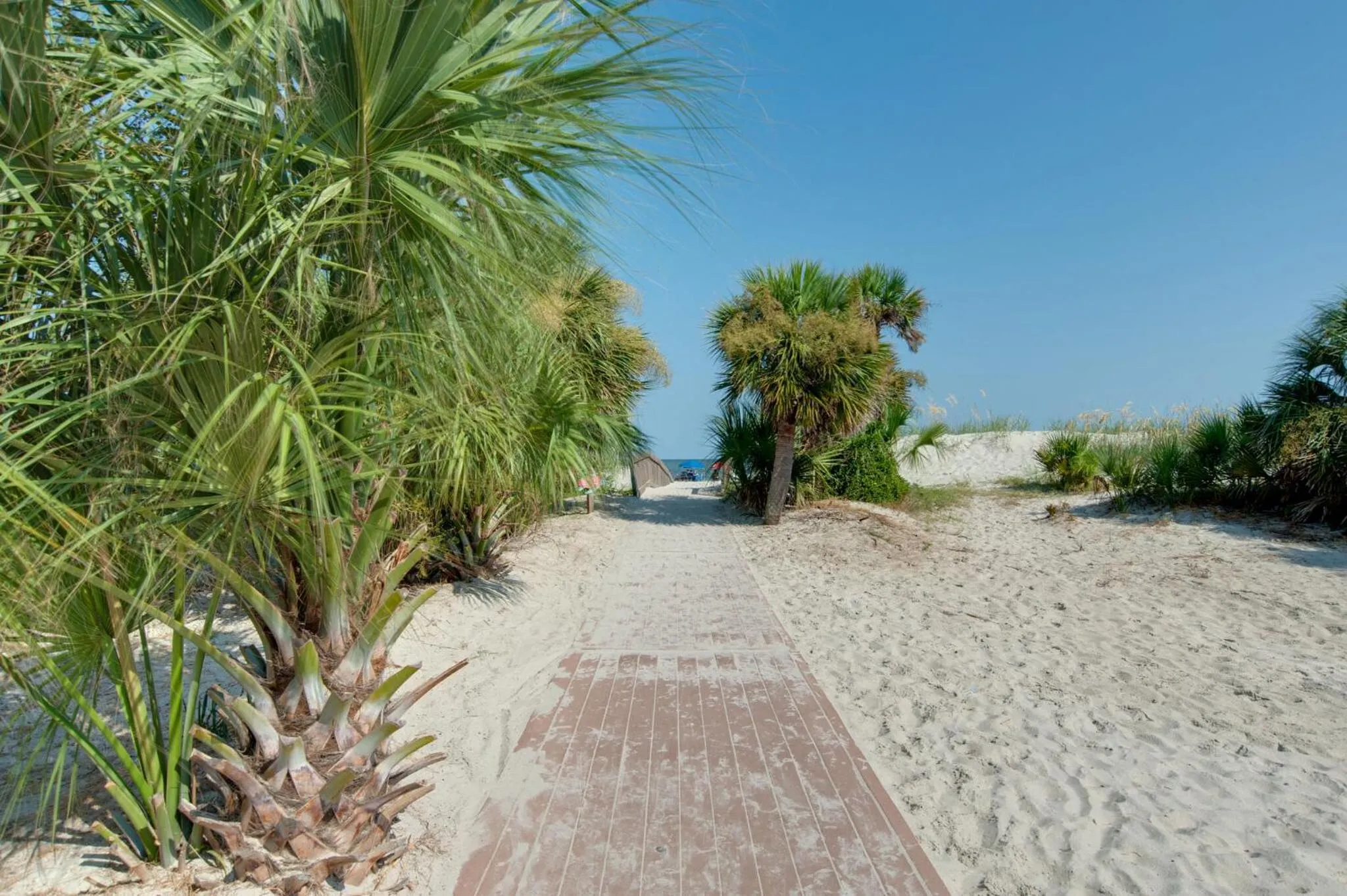 Natural landscape in The Rustic Anchor