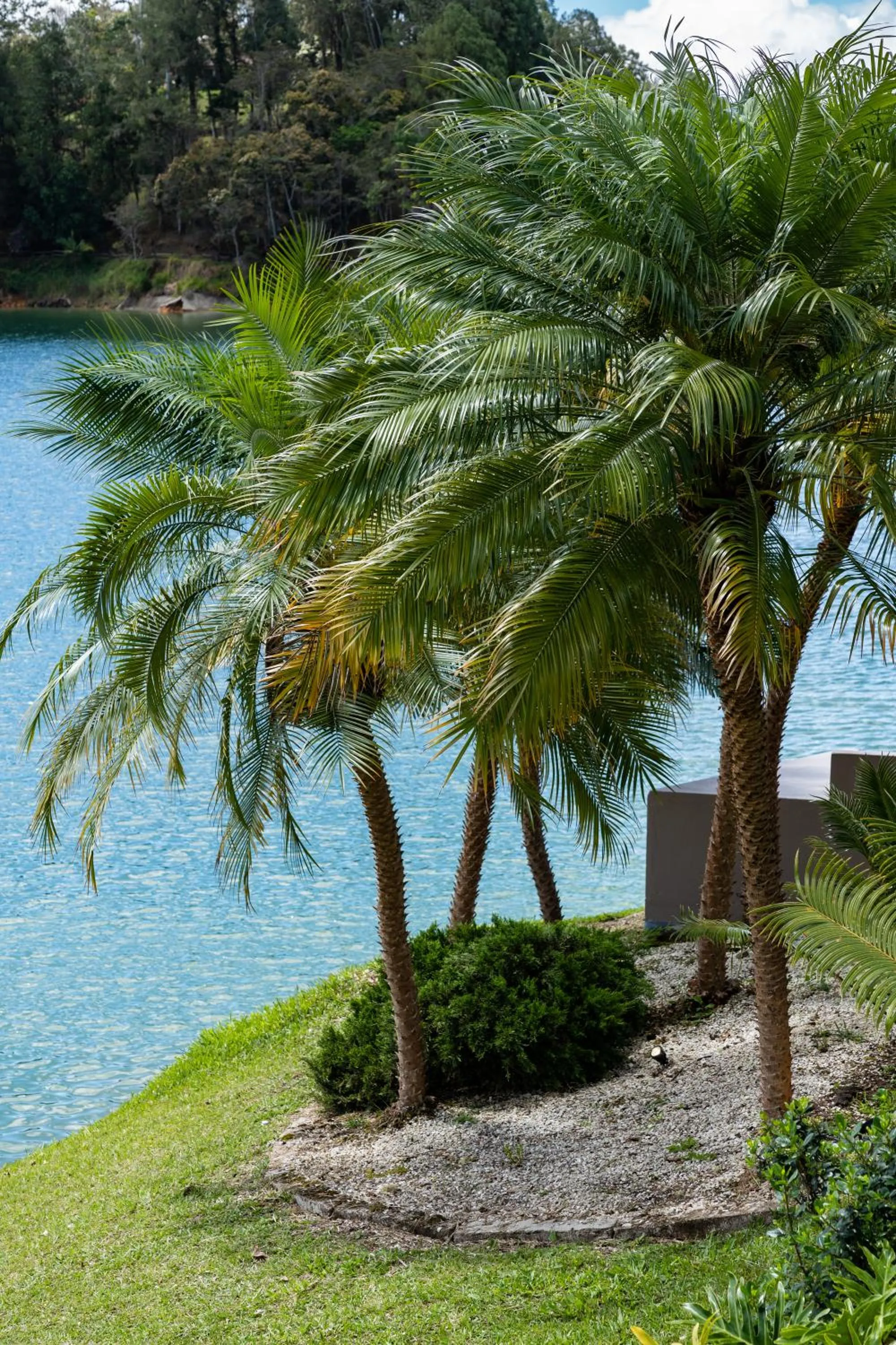 Natural landscape in Tau House