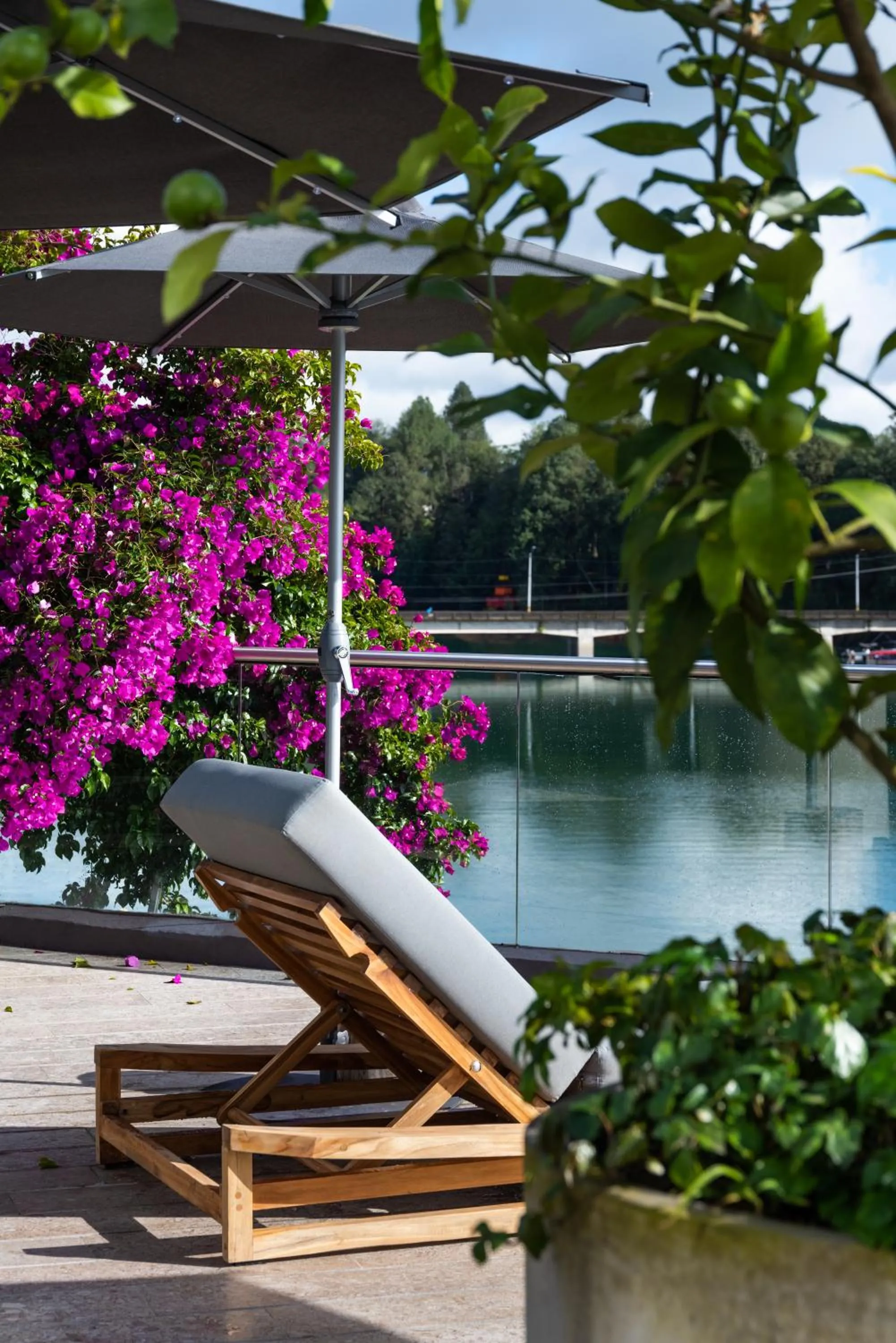 Garden view in Tau House