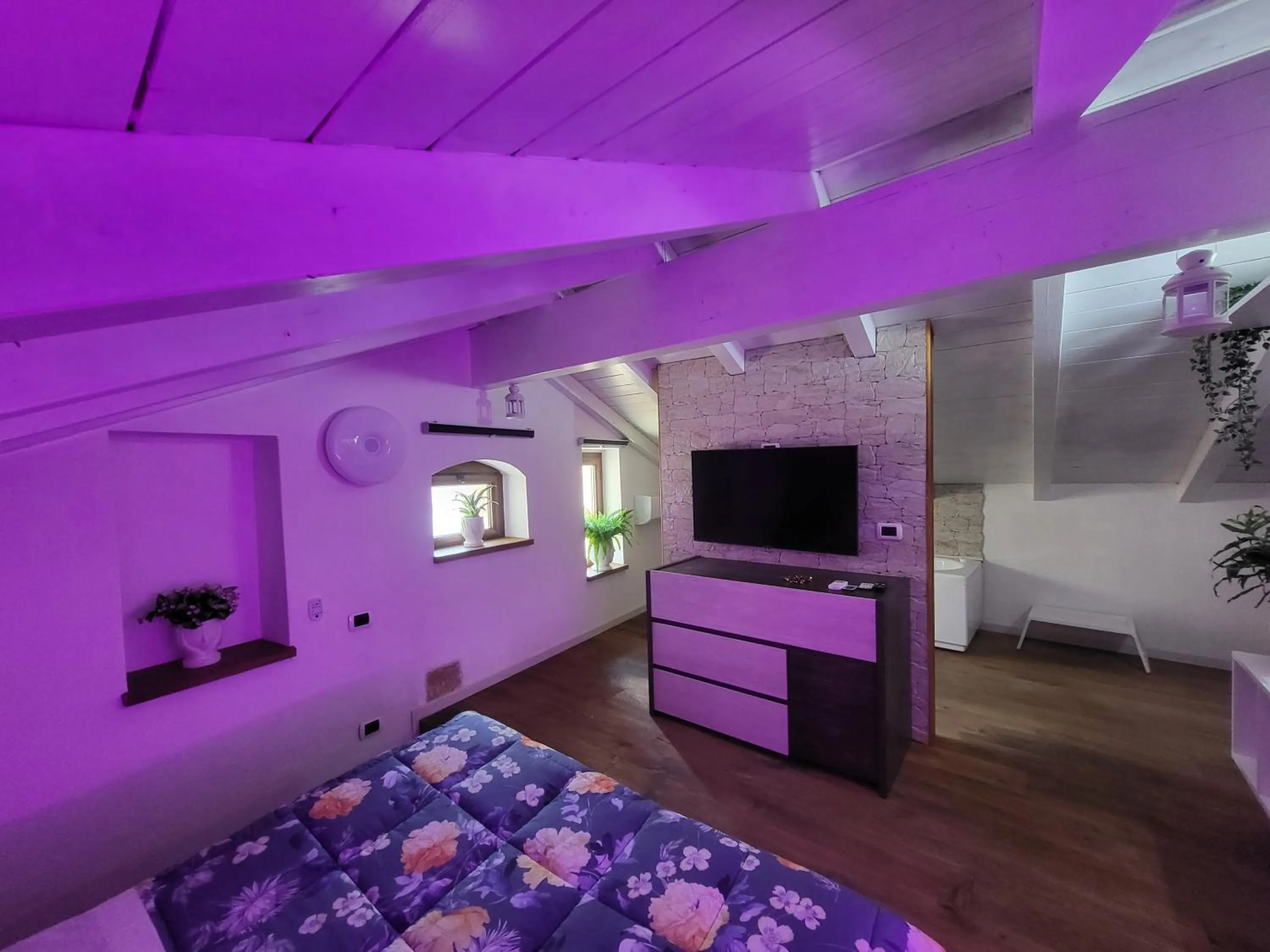 TV and multimedia, Bed in L'edera