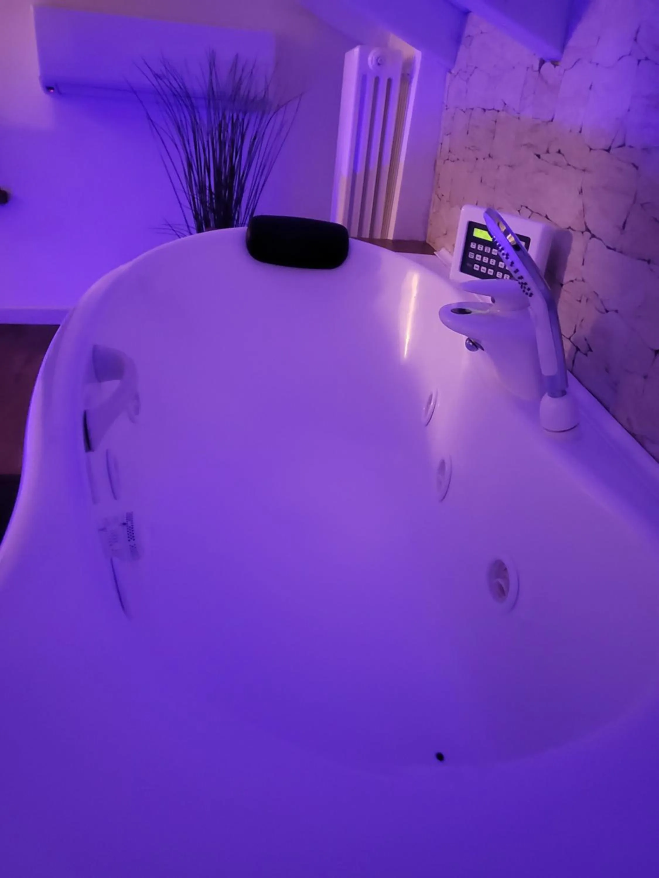 Hot Tub, Bathroom in L'edera