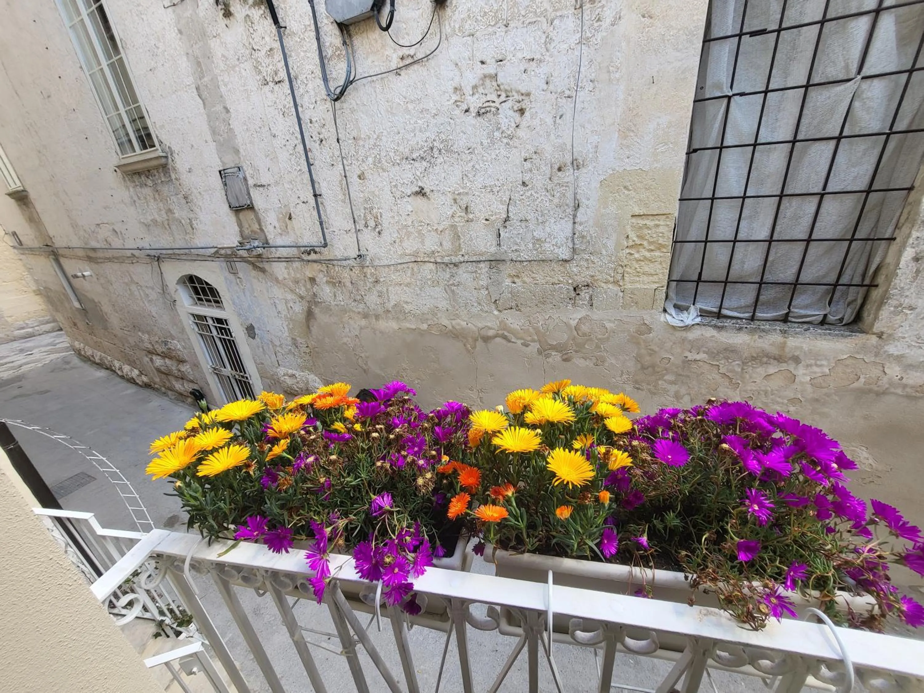 Property building in L'edera