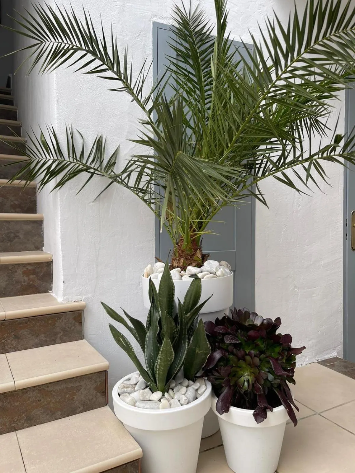 Property building in Casa Dolly Boutique B&B