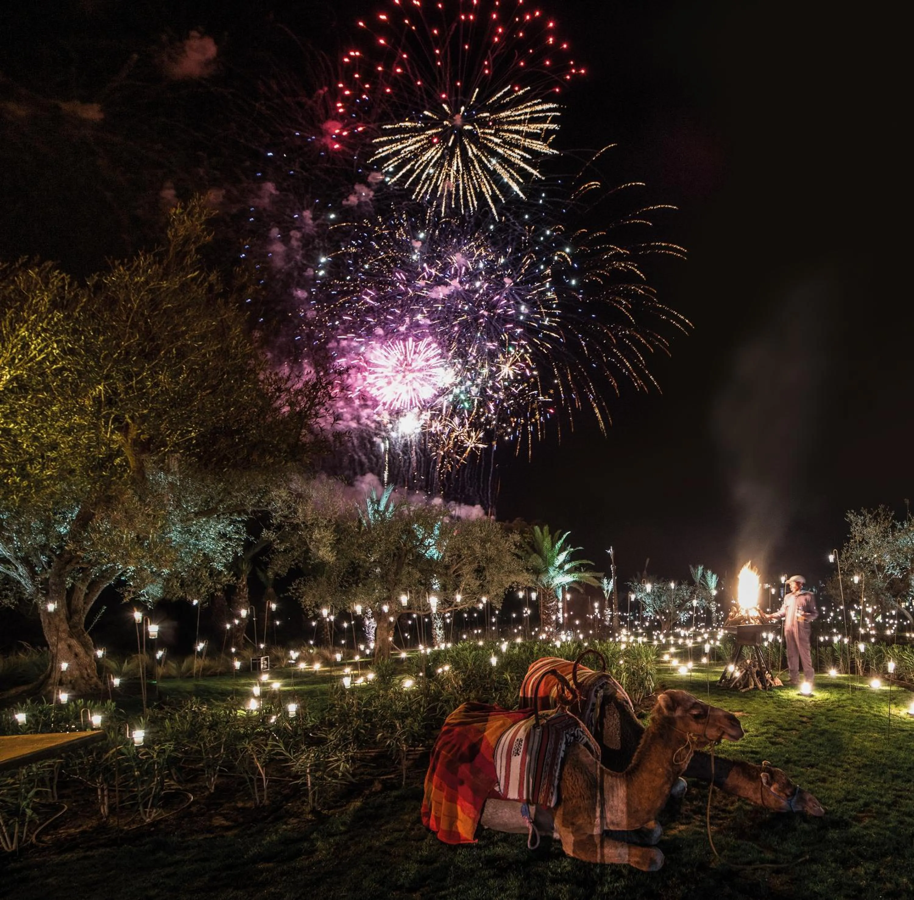 Evening entertainment in Fairmont Royal Palm Marrakech
