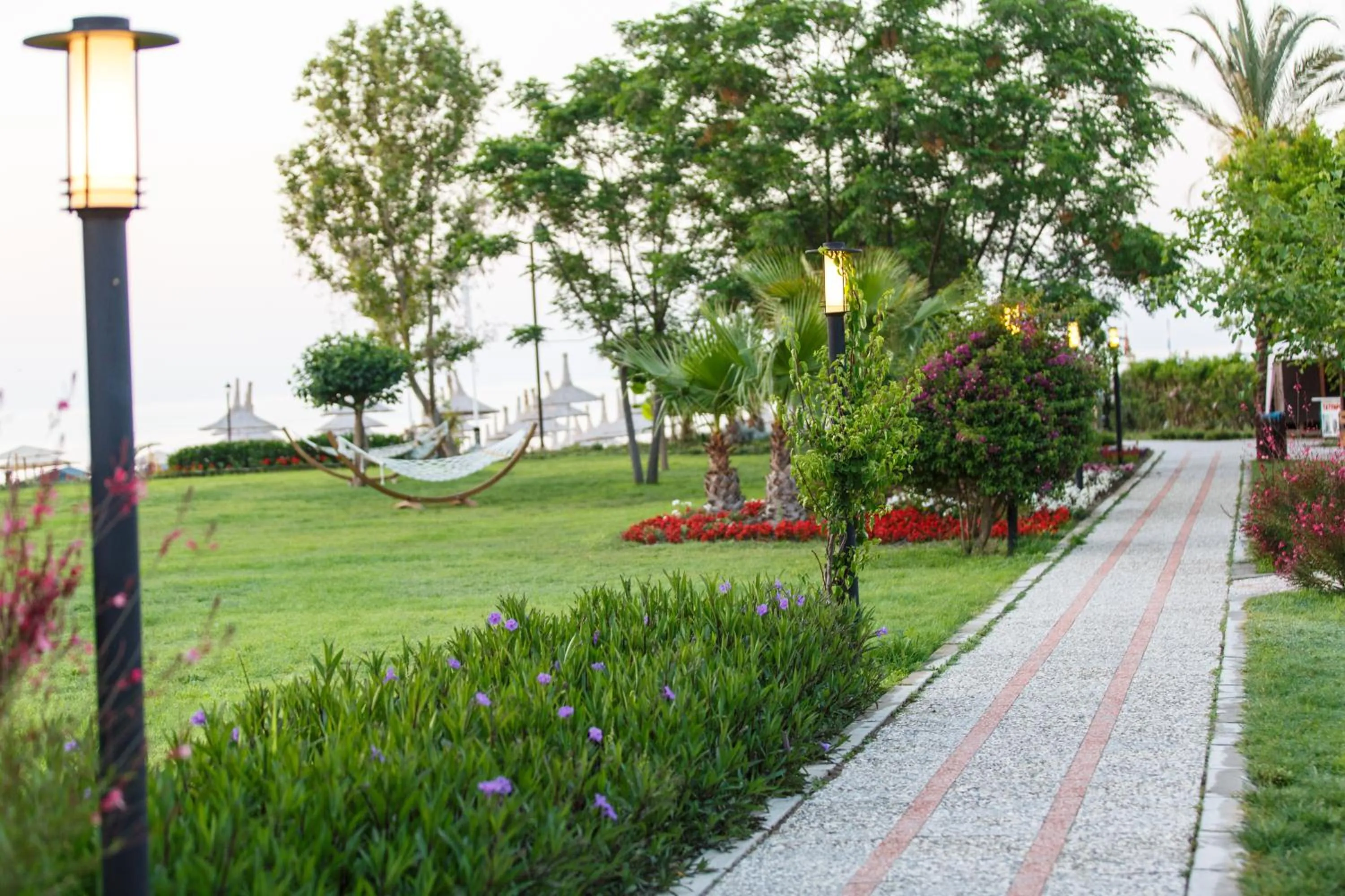 Garden in Lucida Beach Hotel - Ultra All Inclusive