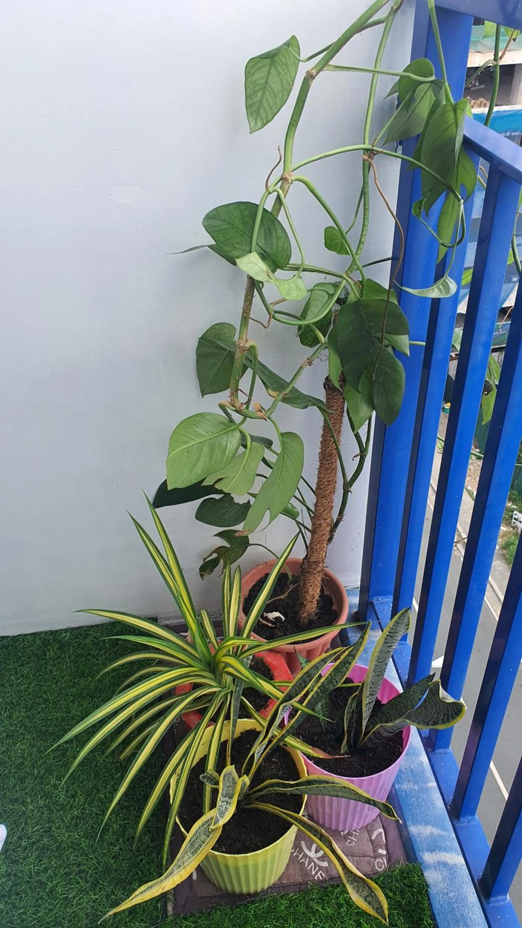 Sea Residences by EZ Stays