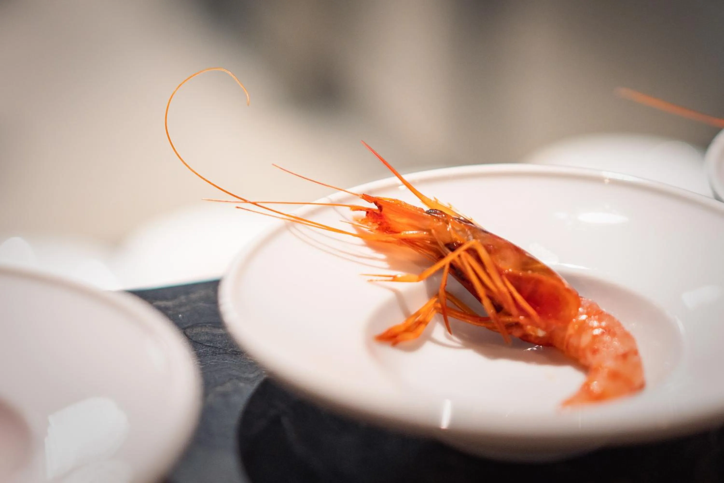 Food and drinks in Hang Loose Cottage Hotel & Resort 4 stelle Gizzeria Calabria