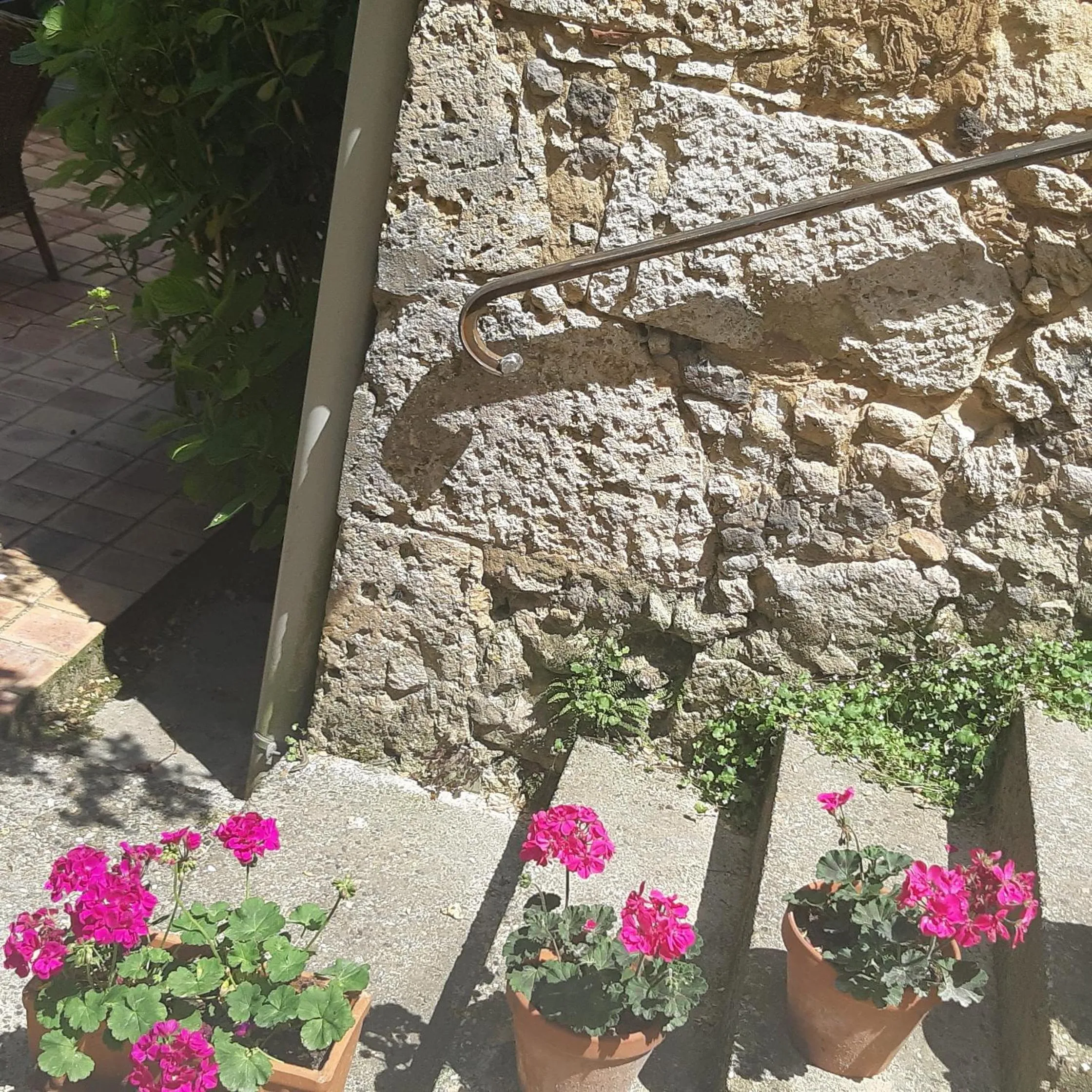 Garden in La Maison 64 Chambre D'Hôtes