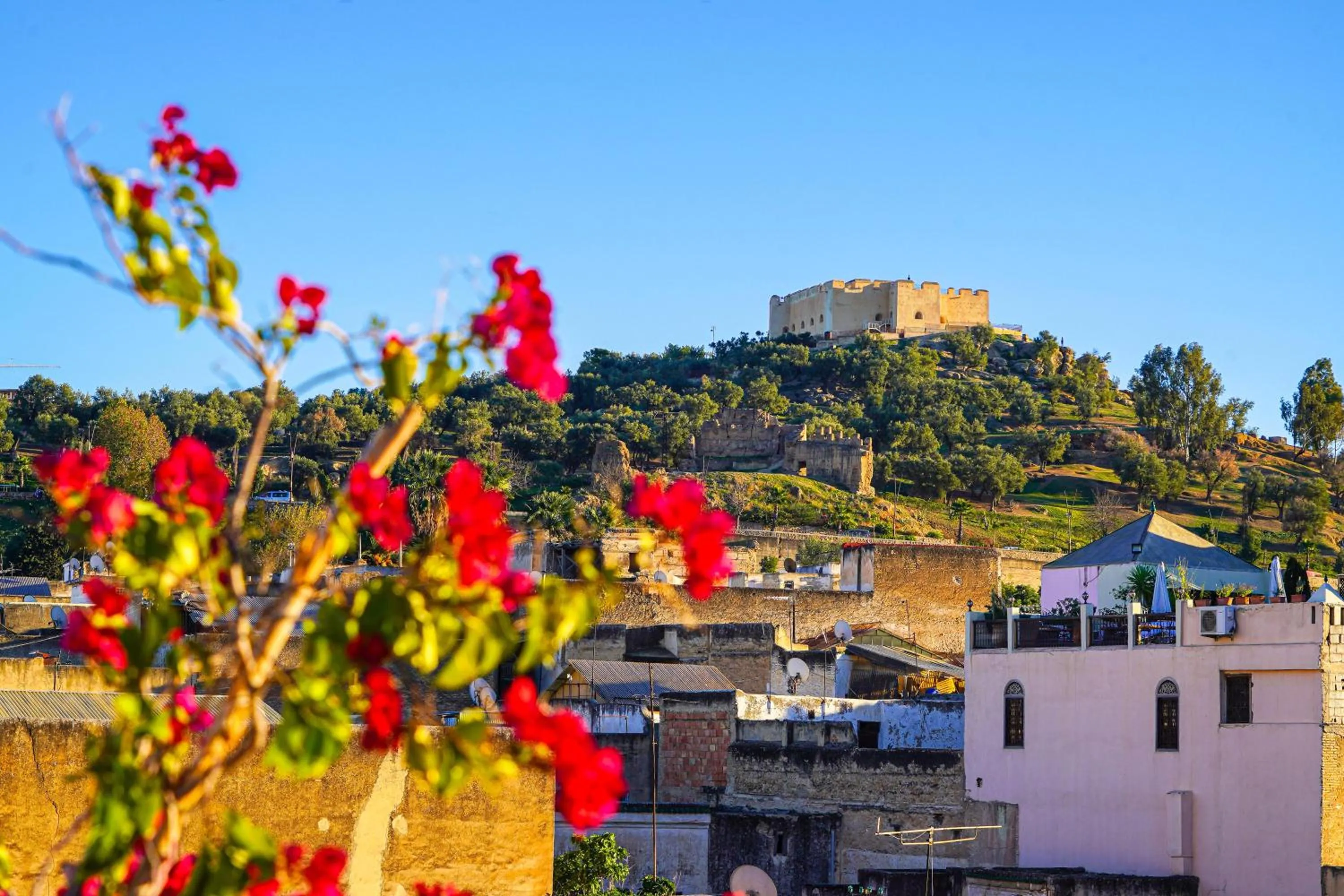 View (from property/room) in Riad Hadia Fes - Prestige Stay