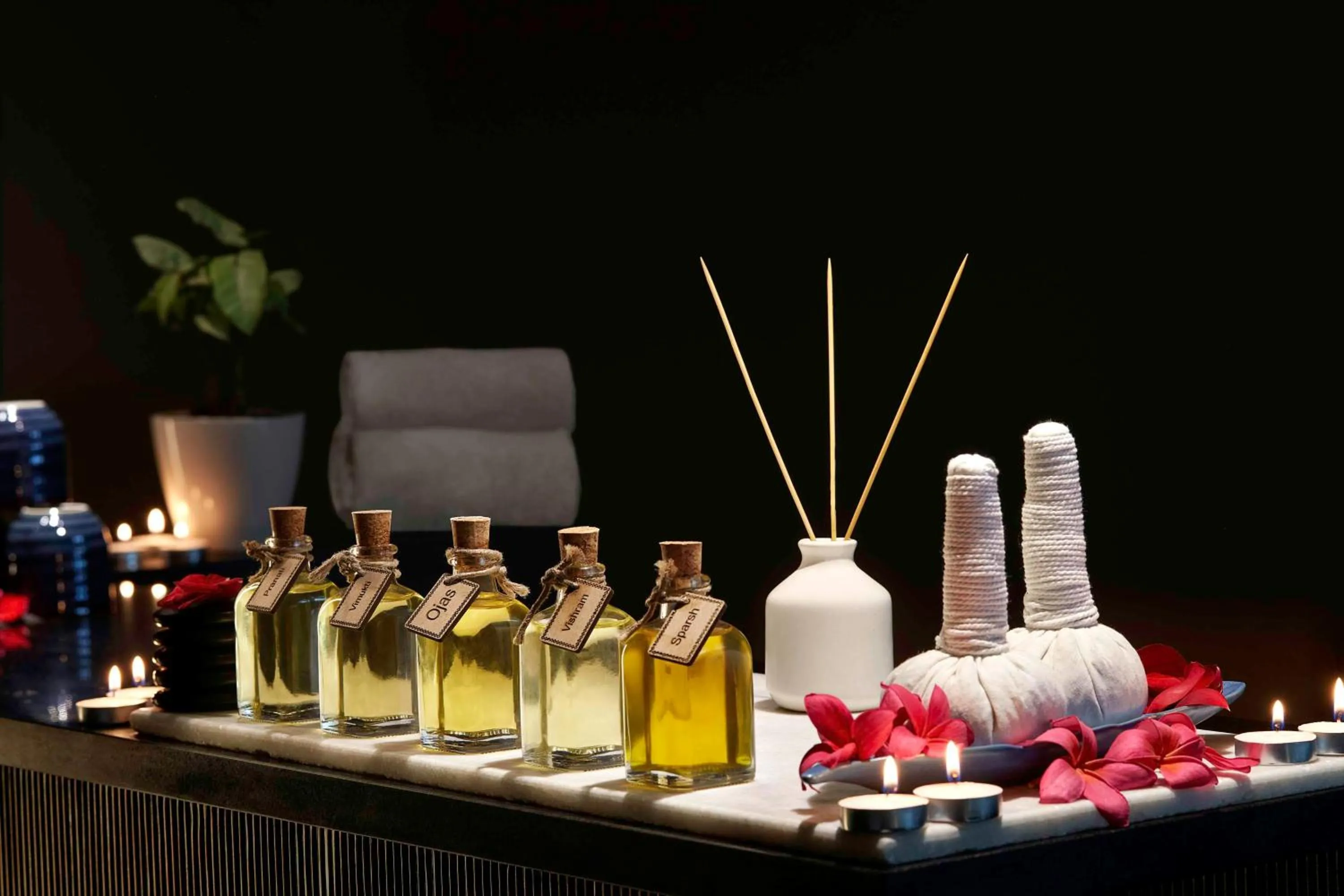 Spa and wellness centre/facilities in Hilton Bengaluru Embassy Manyata Business Park