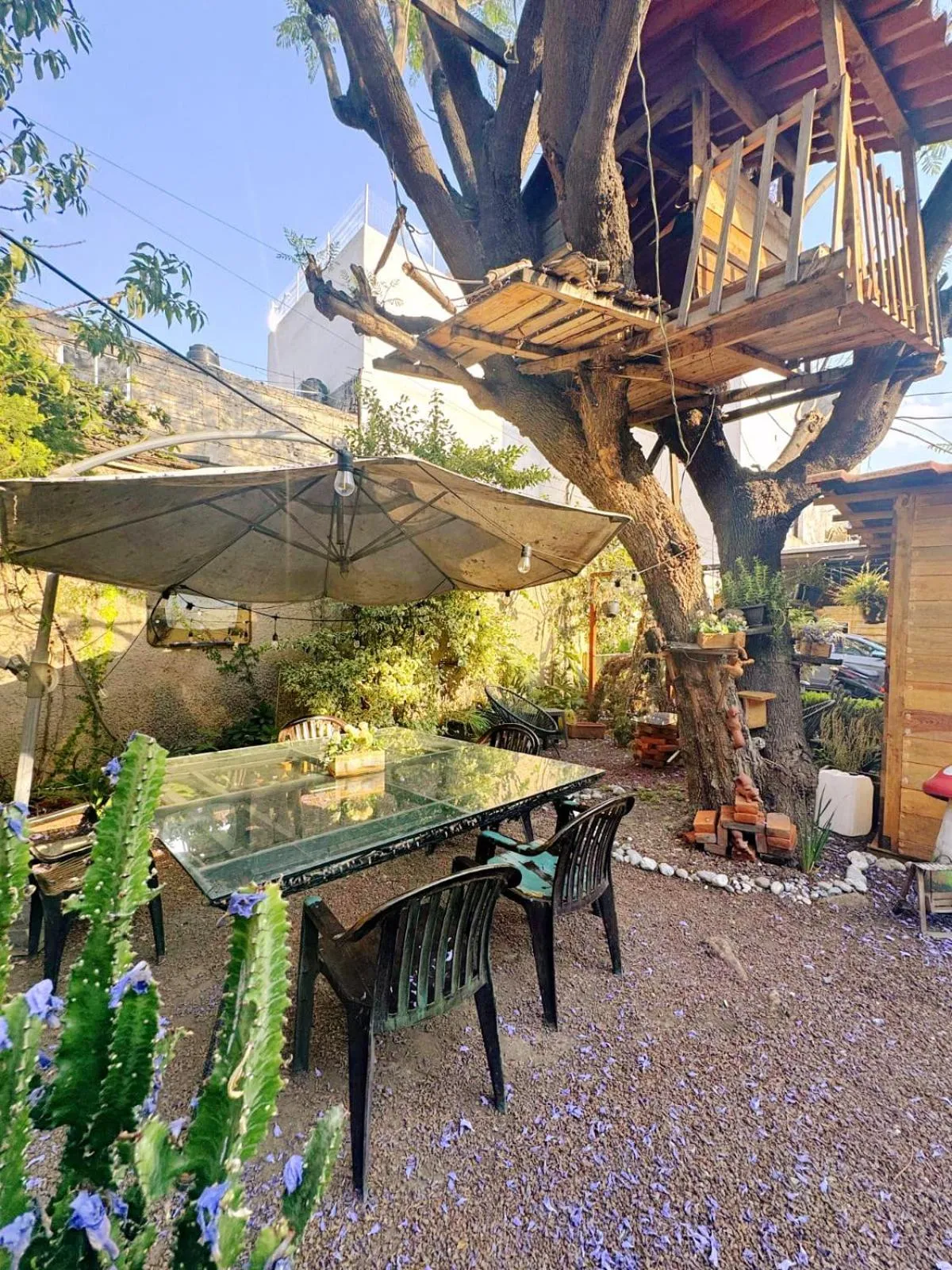 Garden in Casita del Árbol