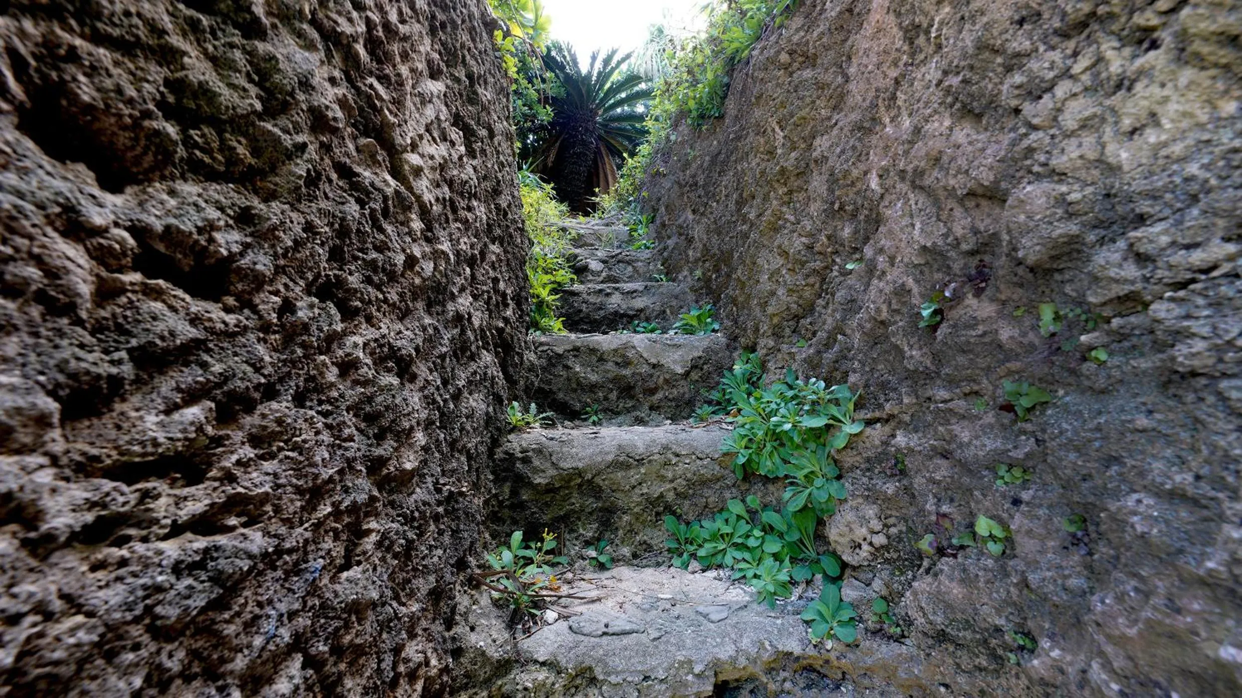 Natural landscape in SALTY HOUSE：海が目の前！