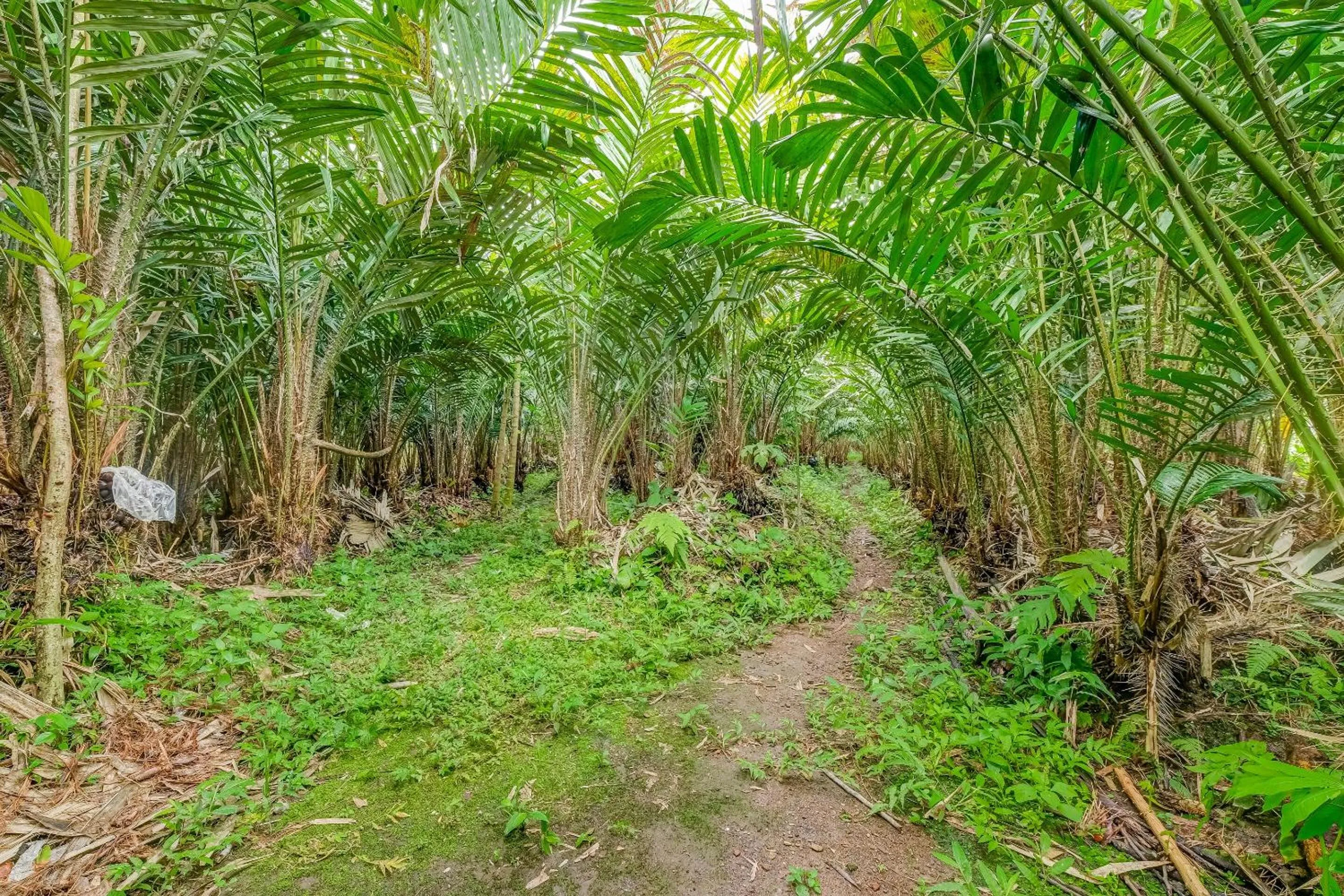 Other in OYO Homes 90987 Desa Wisata Gabugan Syariah