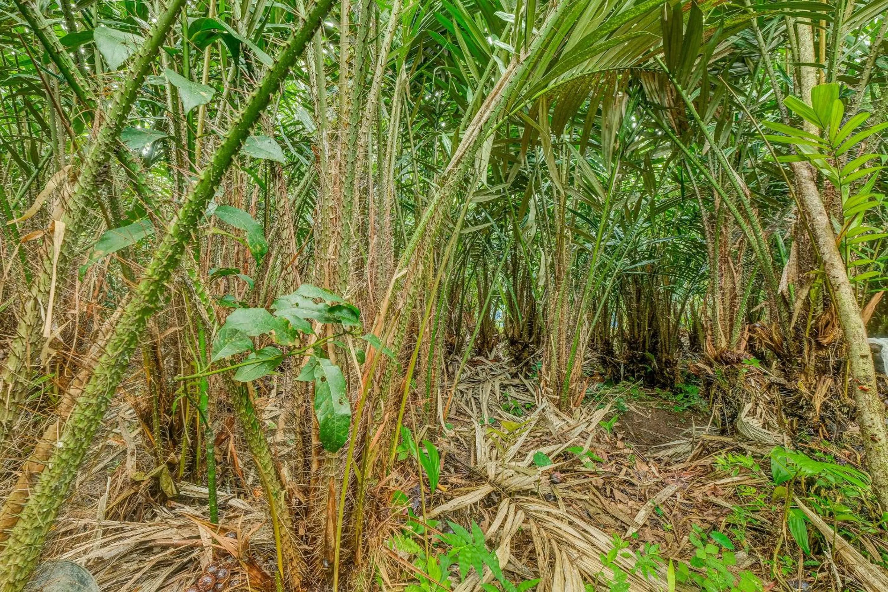 Other in OYO Homes 90987 Desa Wisata Gabugan Syariah