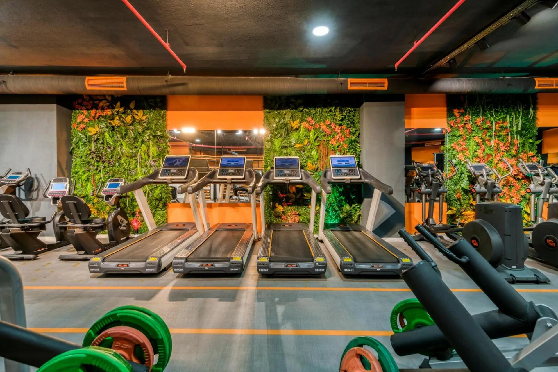 Fitness centre/facilities in Zin D Sefin Aparts