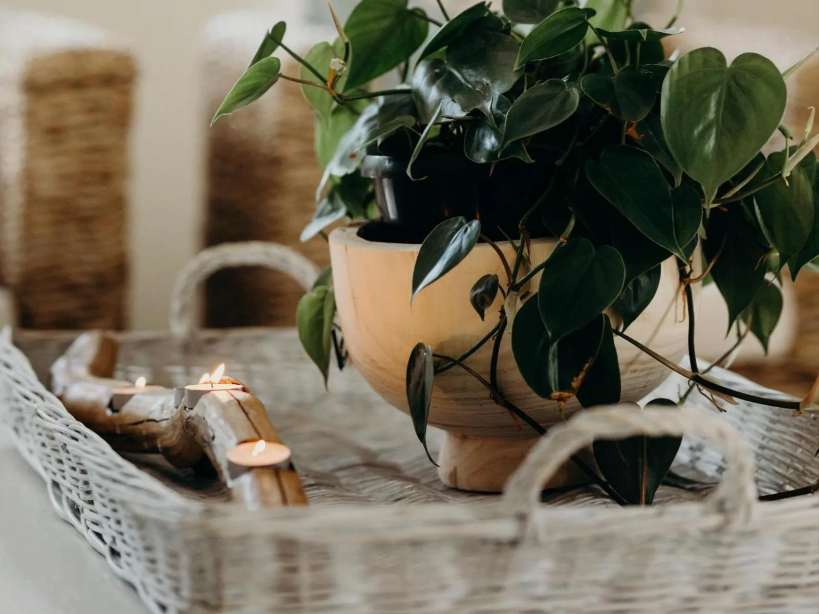 Decorative detail in The Cottage Pie Guest House