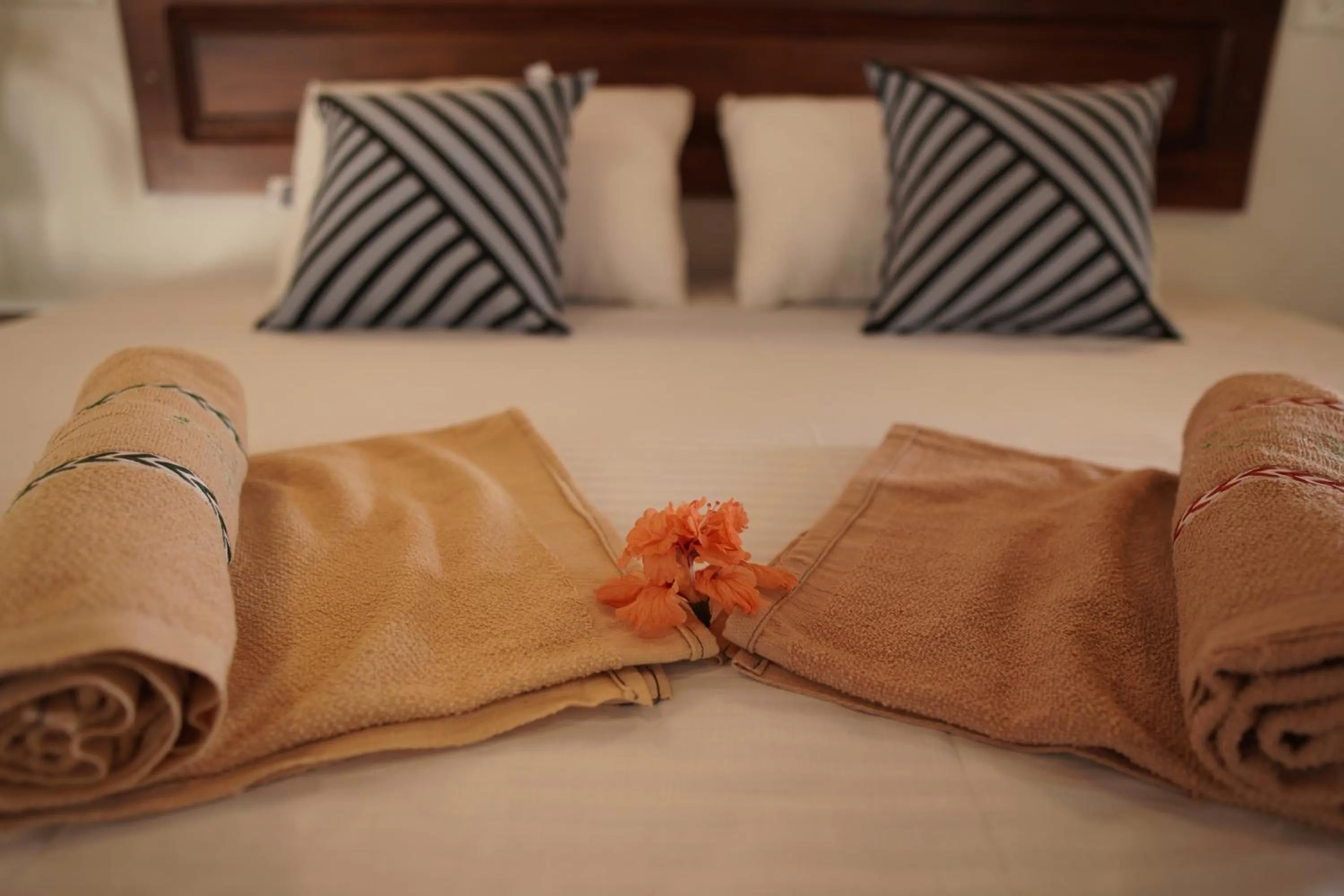 Bed in Surf Nest Hiriketiya