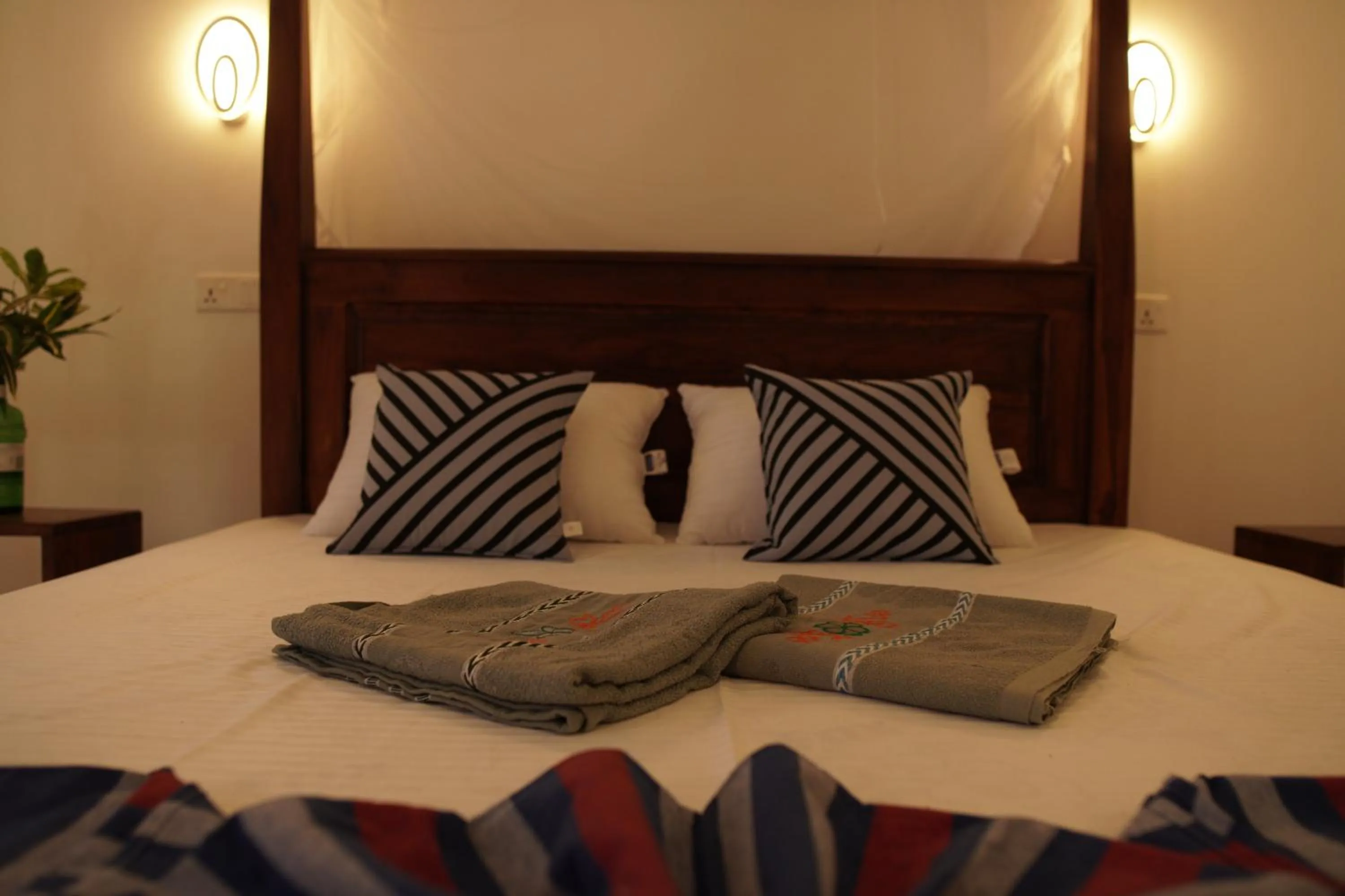 Bed in Surf Nest Hiriketiya