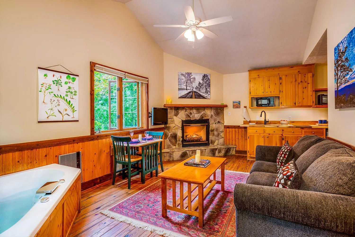 TV and multimedia in Love Ridge Mountain Lodging