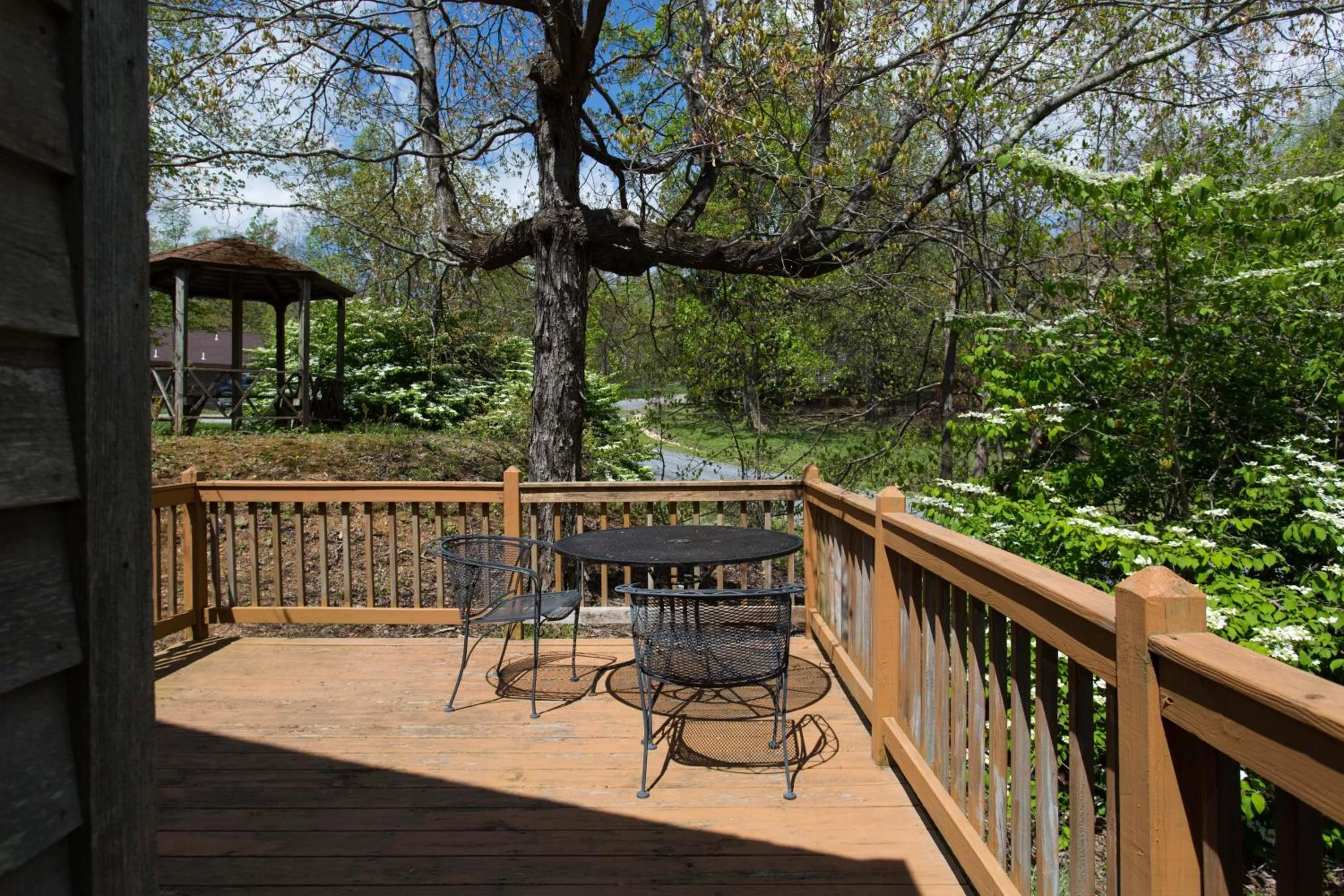 Natural landscape in Love Ridge Mountain Lodging