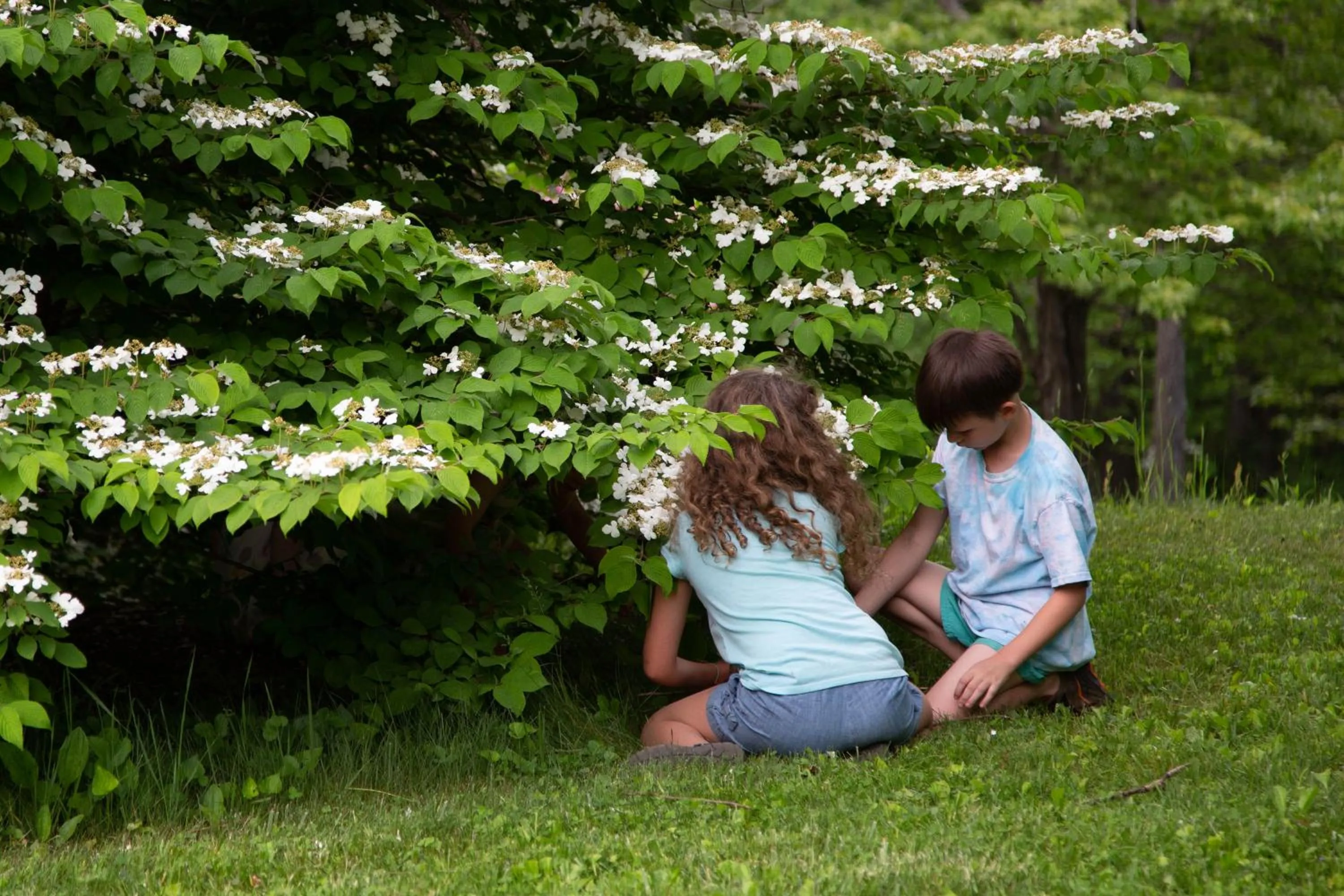 Love Ridge Mountain Lodging