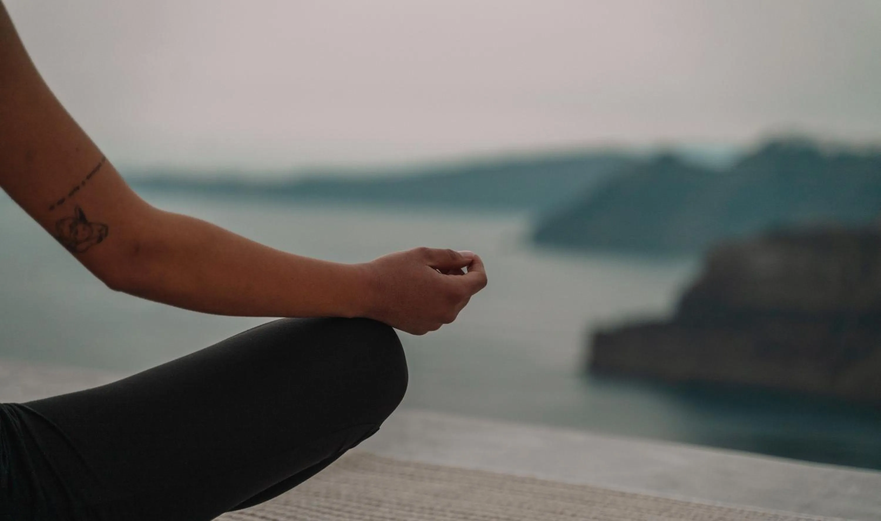 View (from property/room) in Nelya Suites