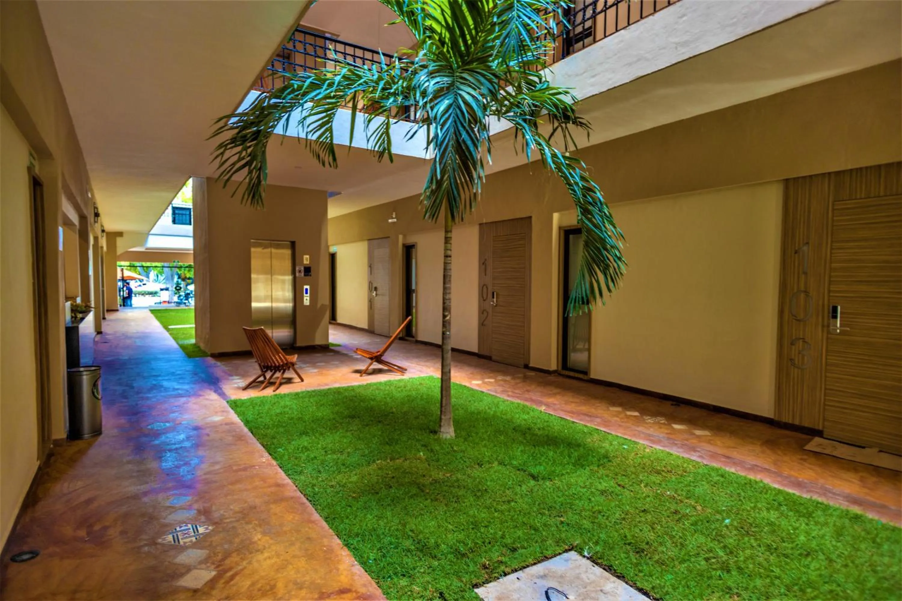 Garden in Hotel Plaza by Kavia