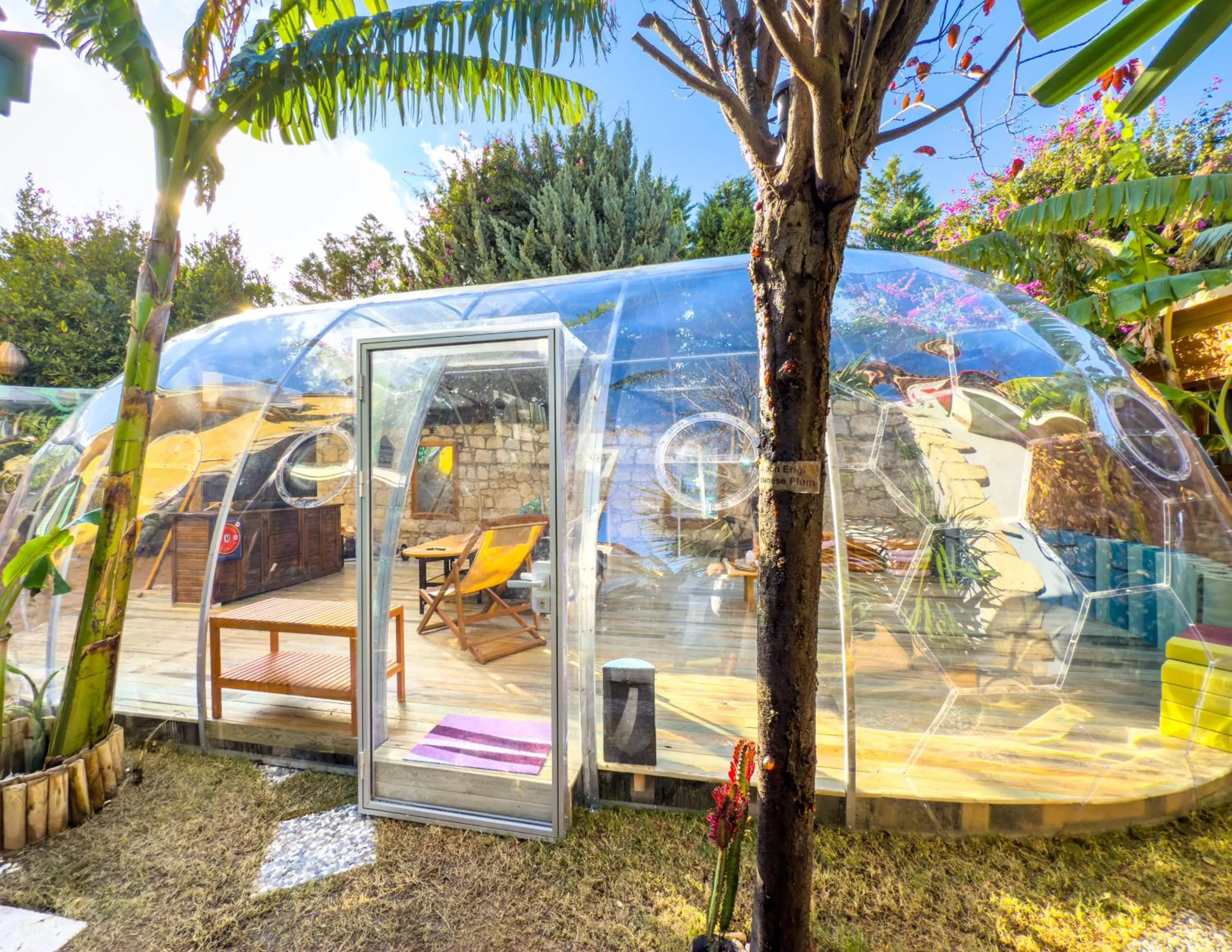 Communal lounge/ TV room in Banana Alaçatı Food & Stay - Adults Only