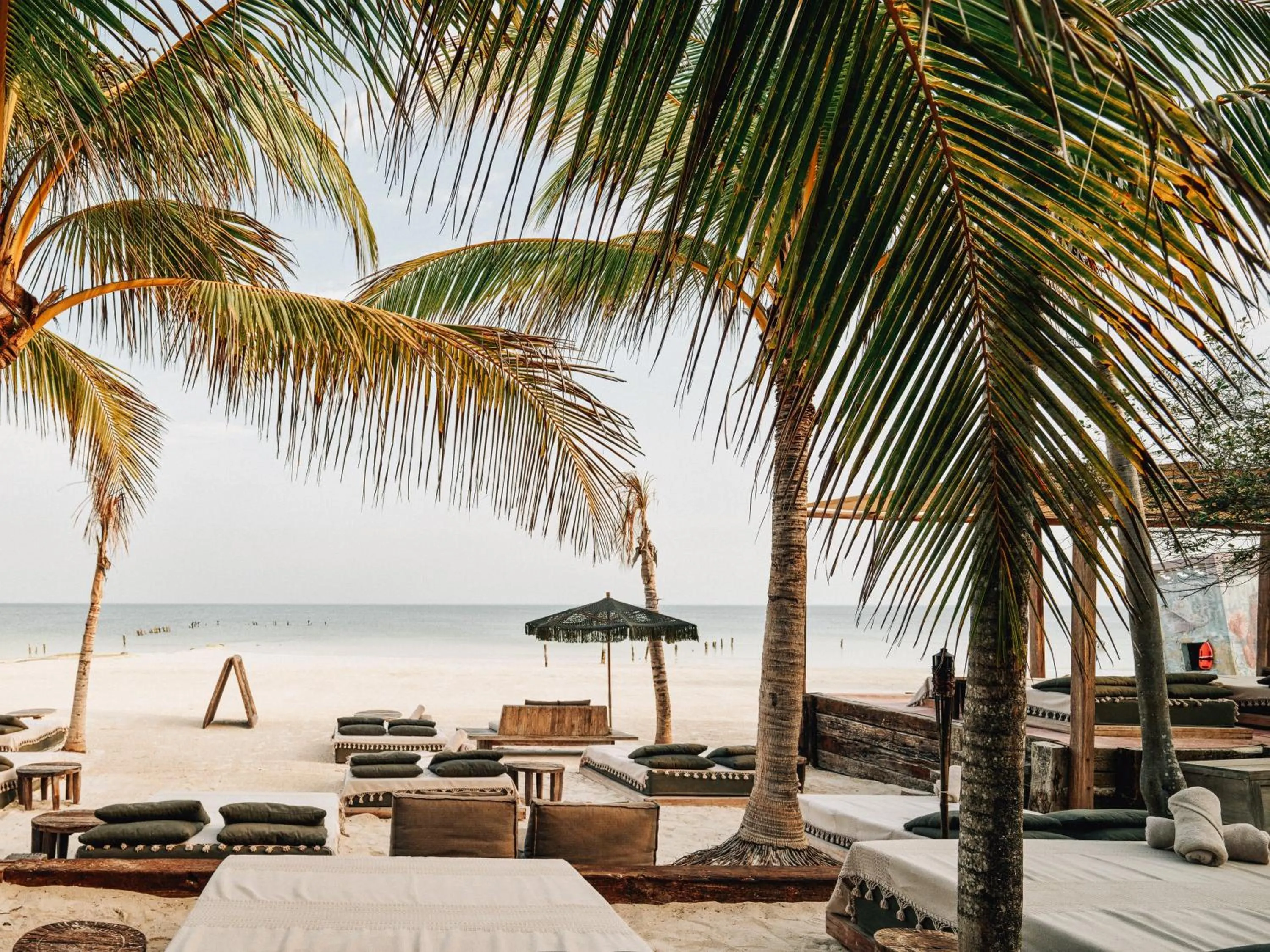 Food and drinks in Nômade Temple Holbox