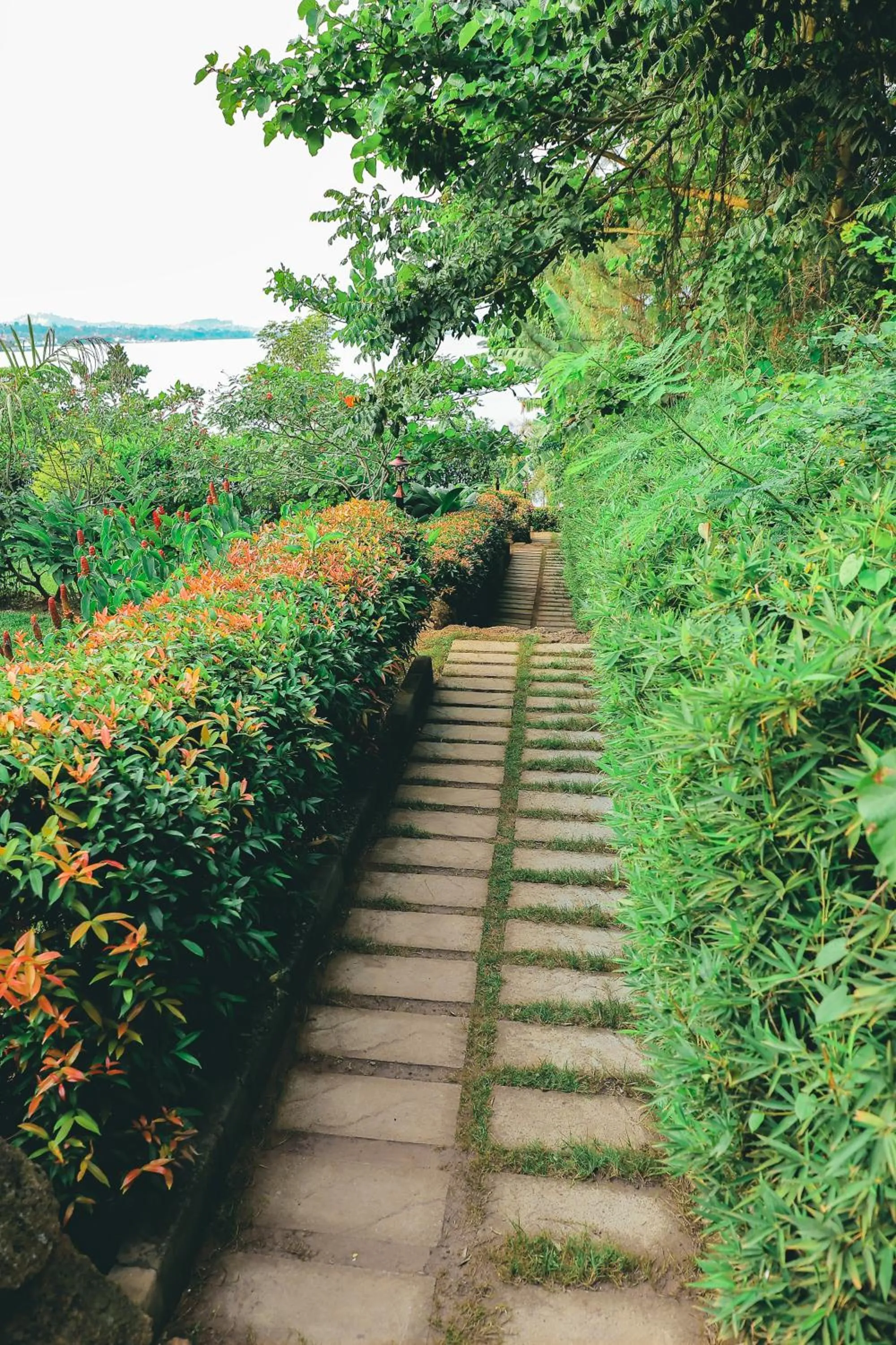 Natural landscape in Divine Resort & Spa