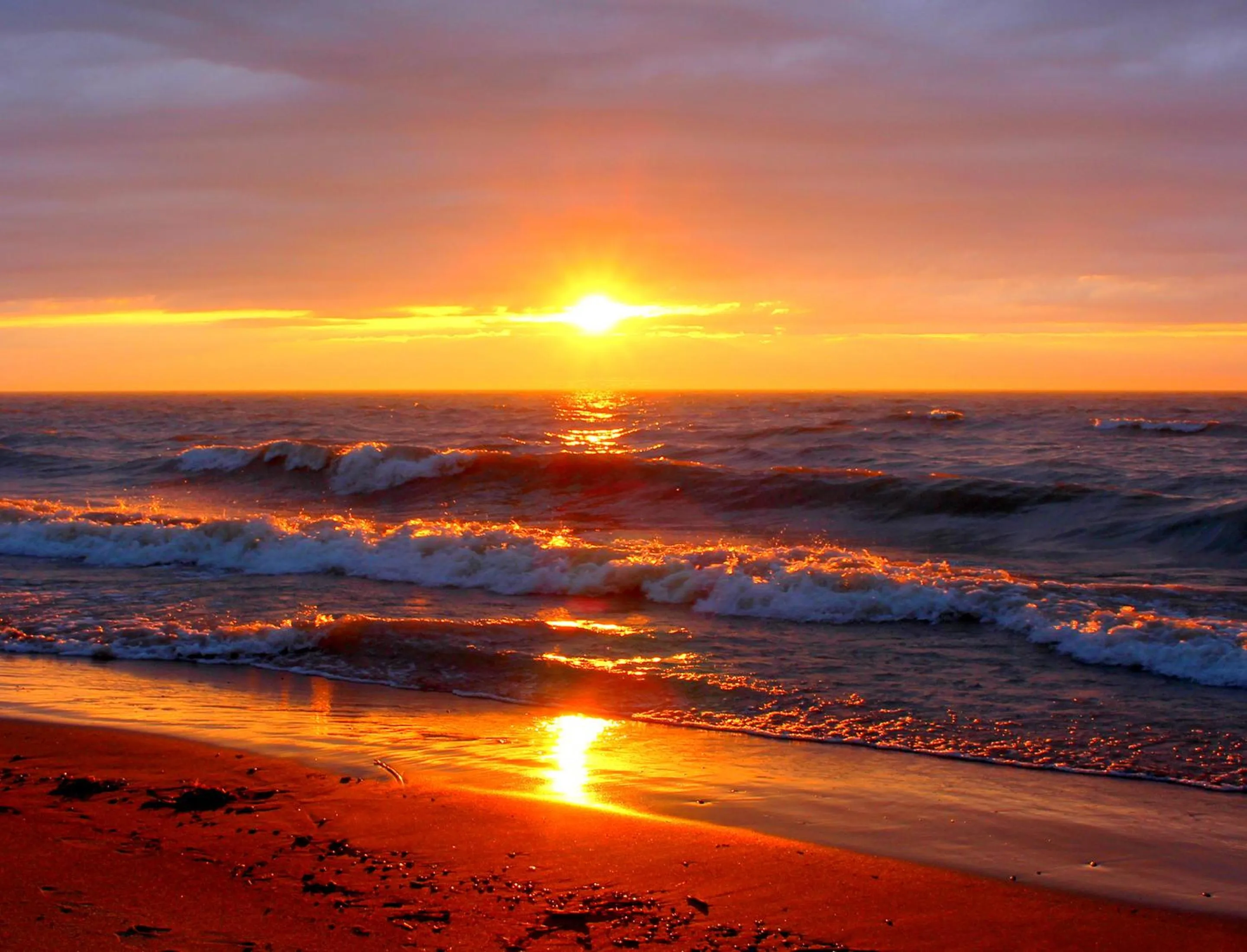 Natural landscape in Oakwood Resort