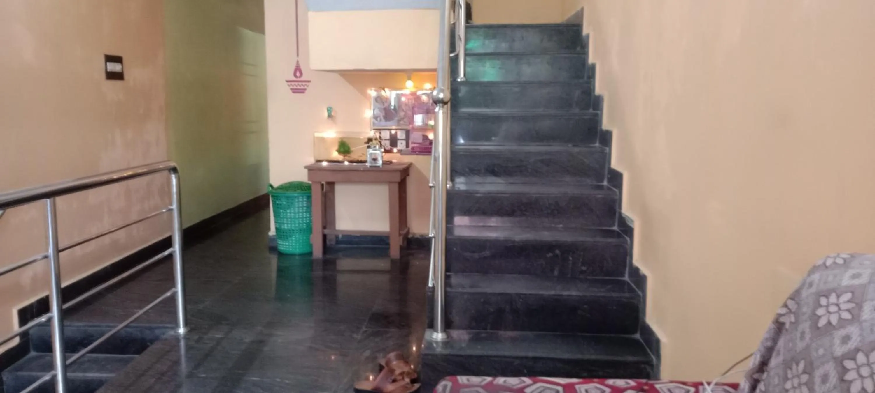 Area and facilities in Sri Krishna Guest House