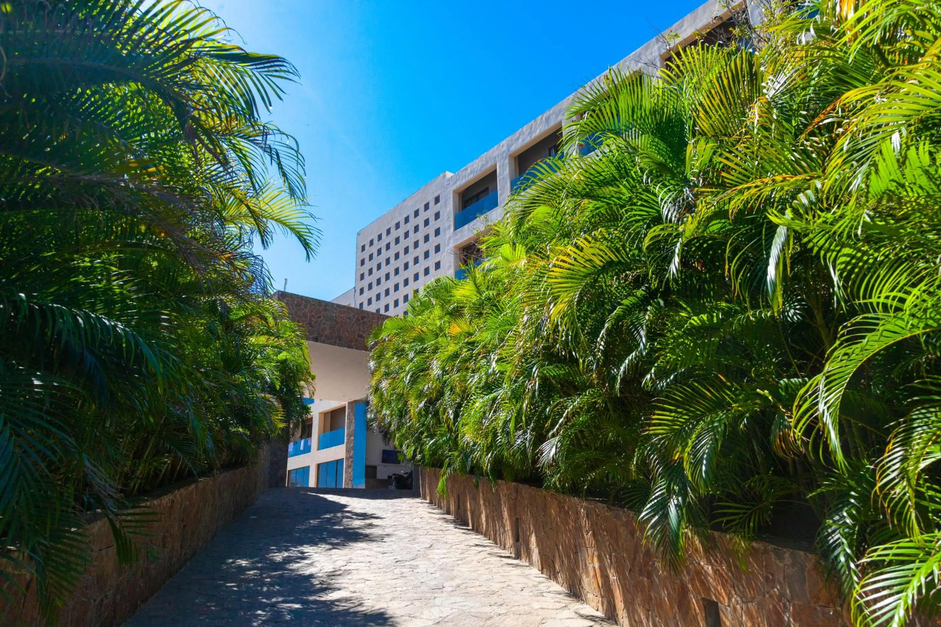 Garden in Coral Blue Huatulco All Inclusive