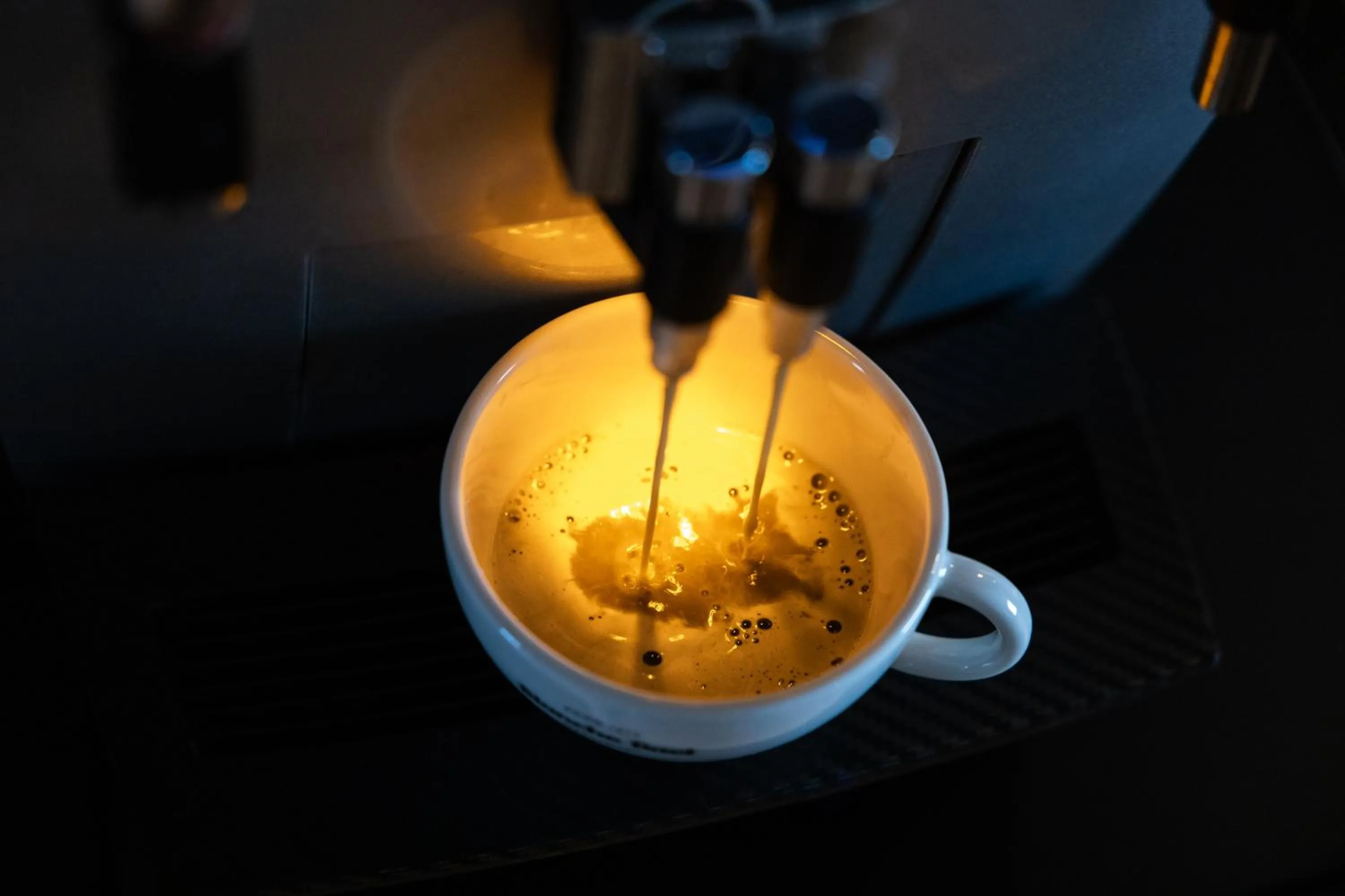 Kitchen or kitchenette in Boutique Hotel Le Faucon