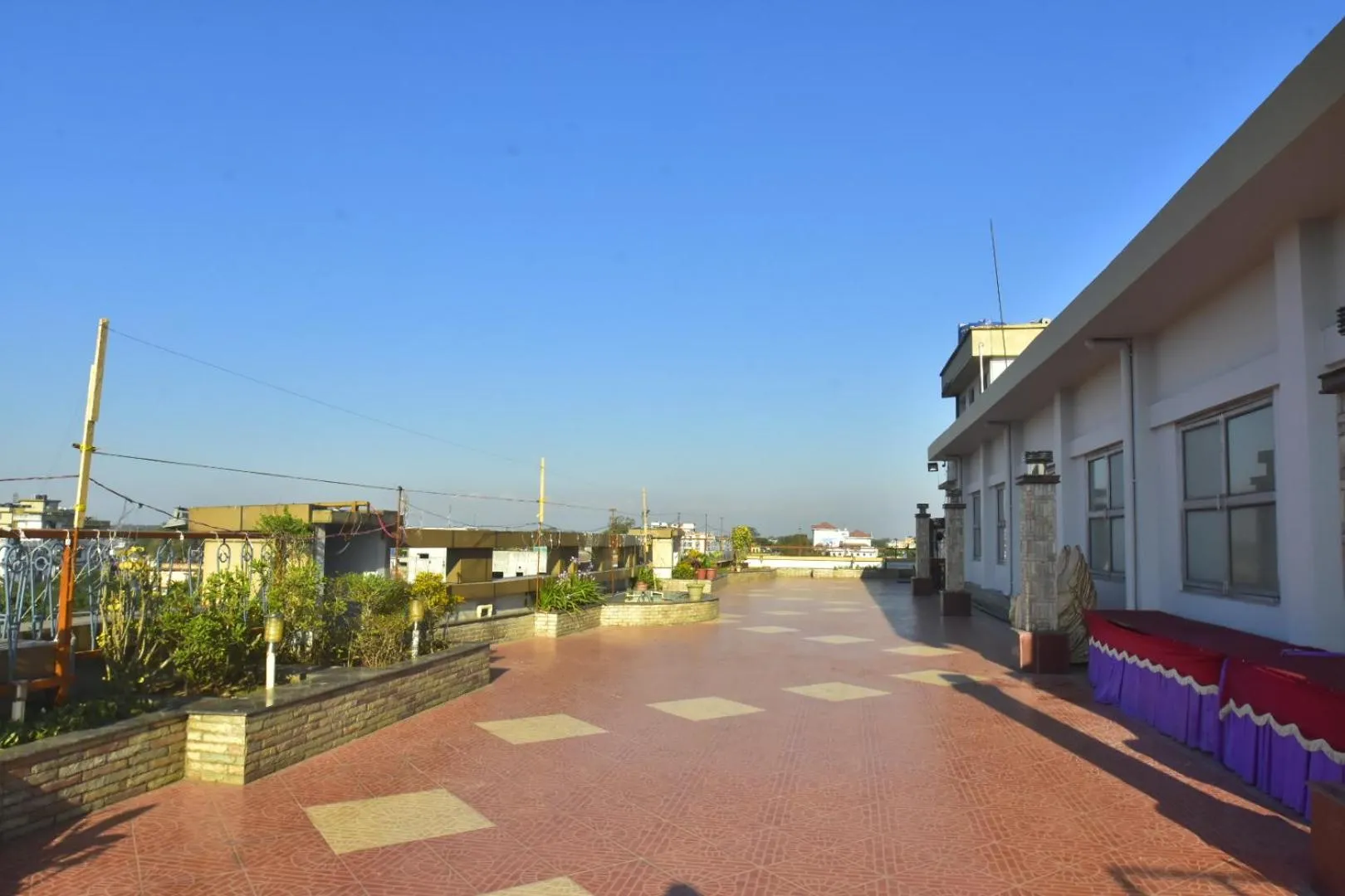 Garden in Hotel Royal Highness