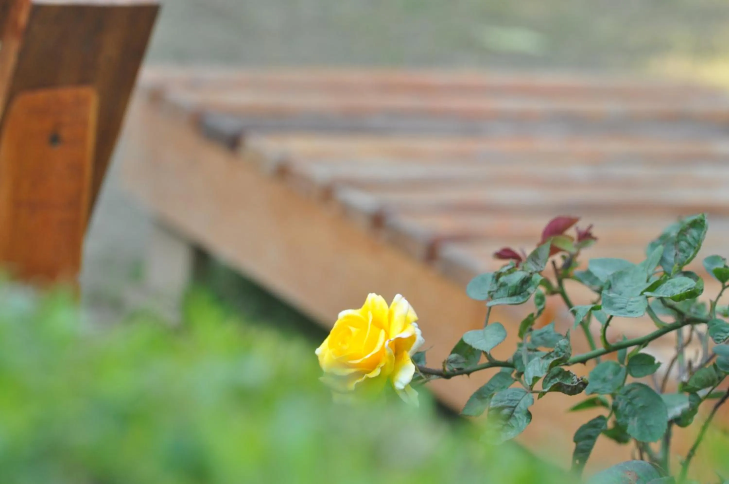 Hotel Goverdhan Tourist Complex