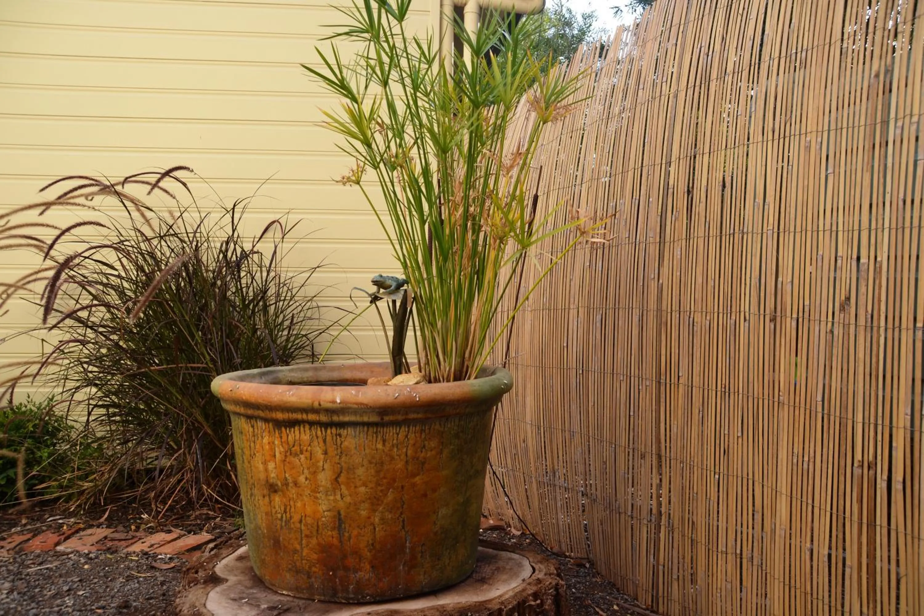 Garden in Avoca Cottages VICTORIA