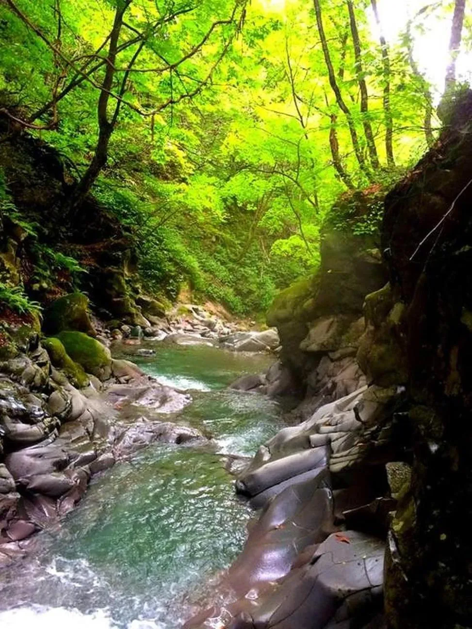 Natural landscape in Phoenix Chalets by HHG