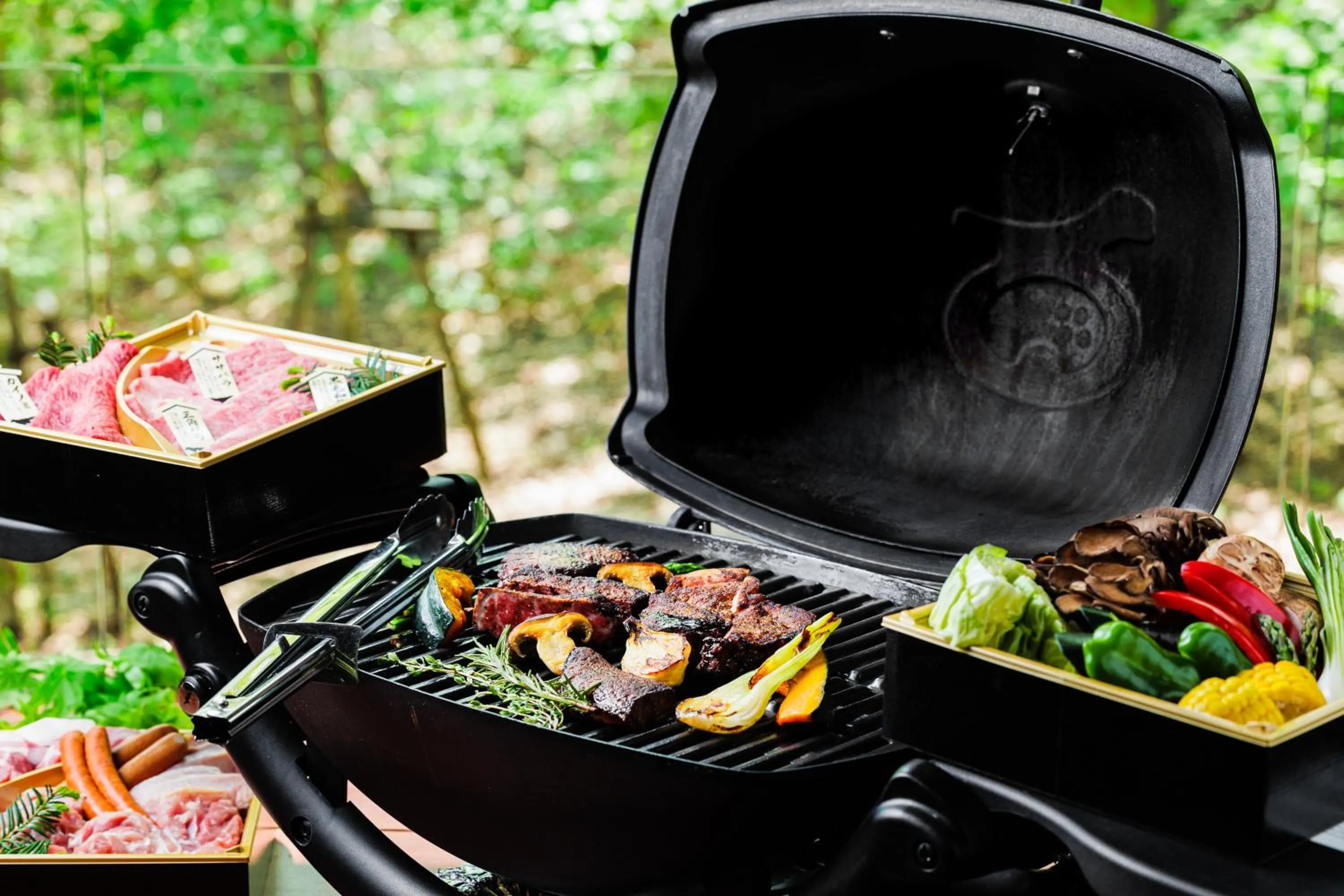 BBQ facilities in Phoenix Chalets by HHG