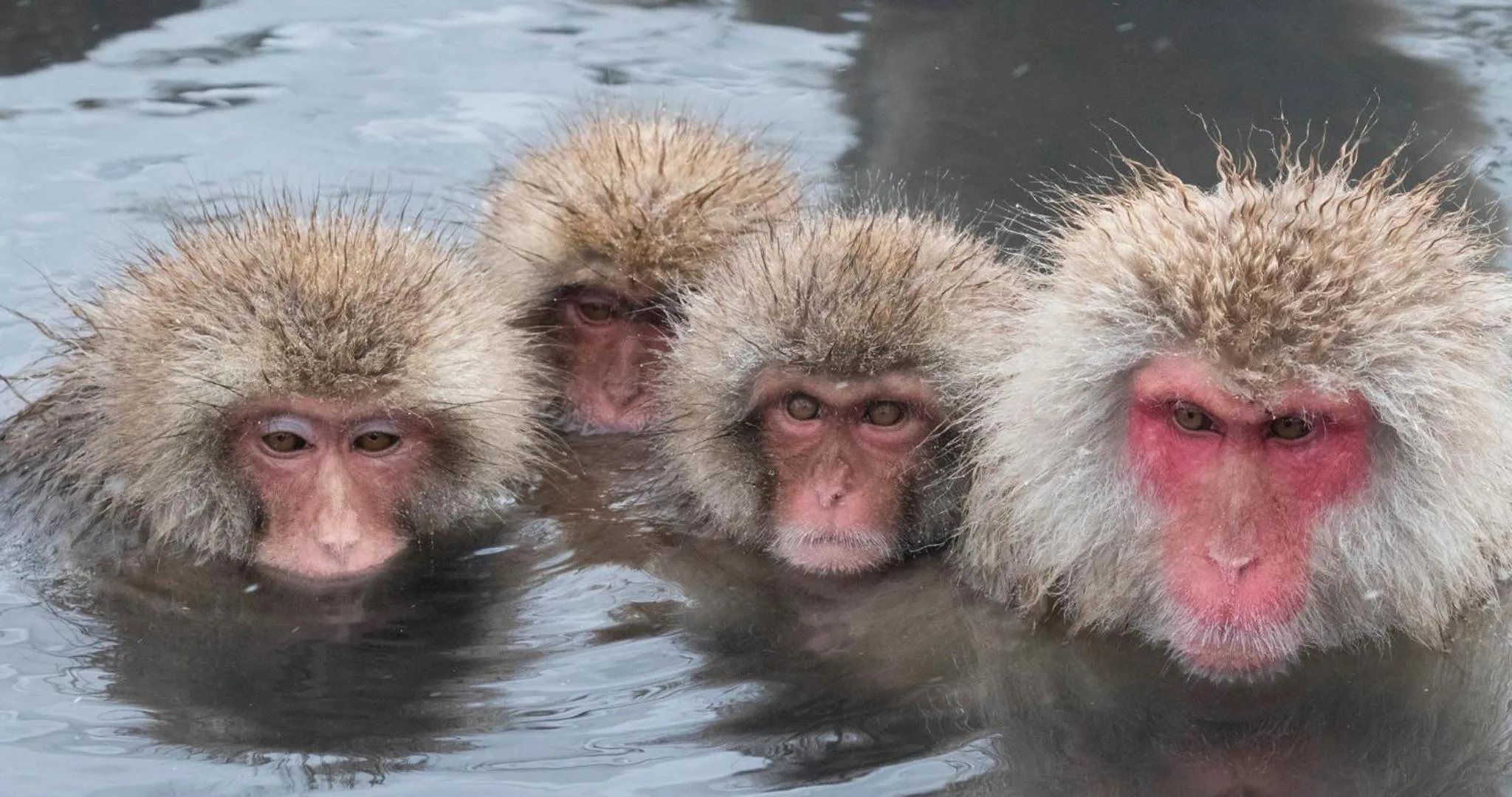 Nearby landmark in Kotobuki