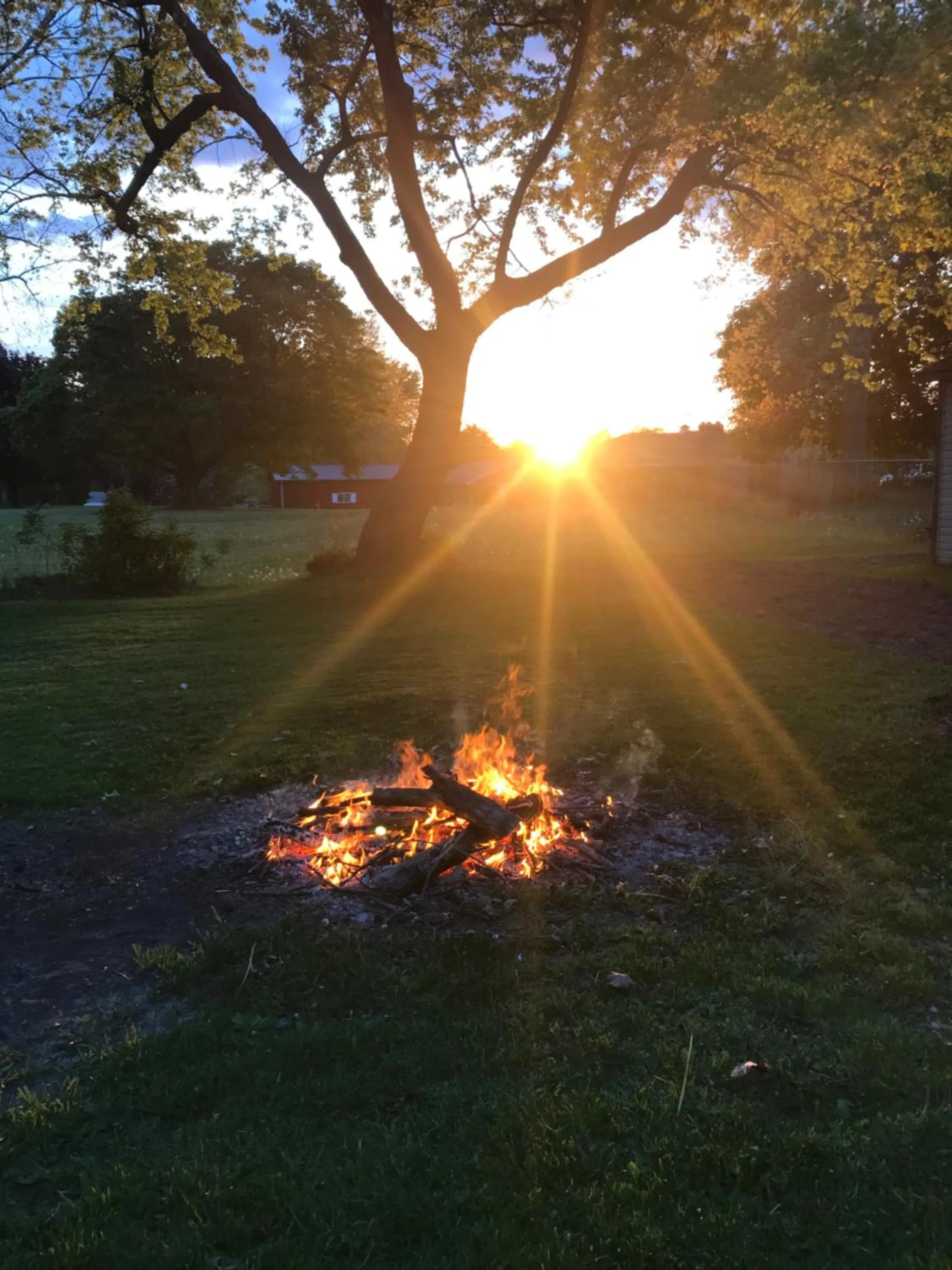 Natural landscape in Hope Bed and Breakfast