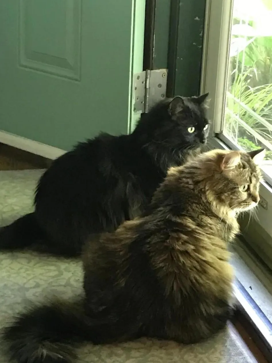 Hope Bed and Breakfast