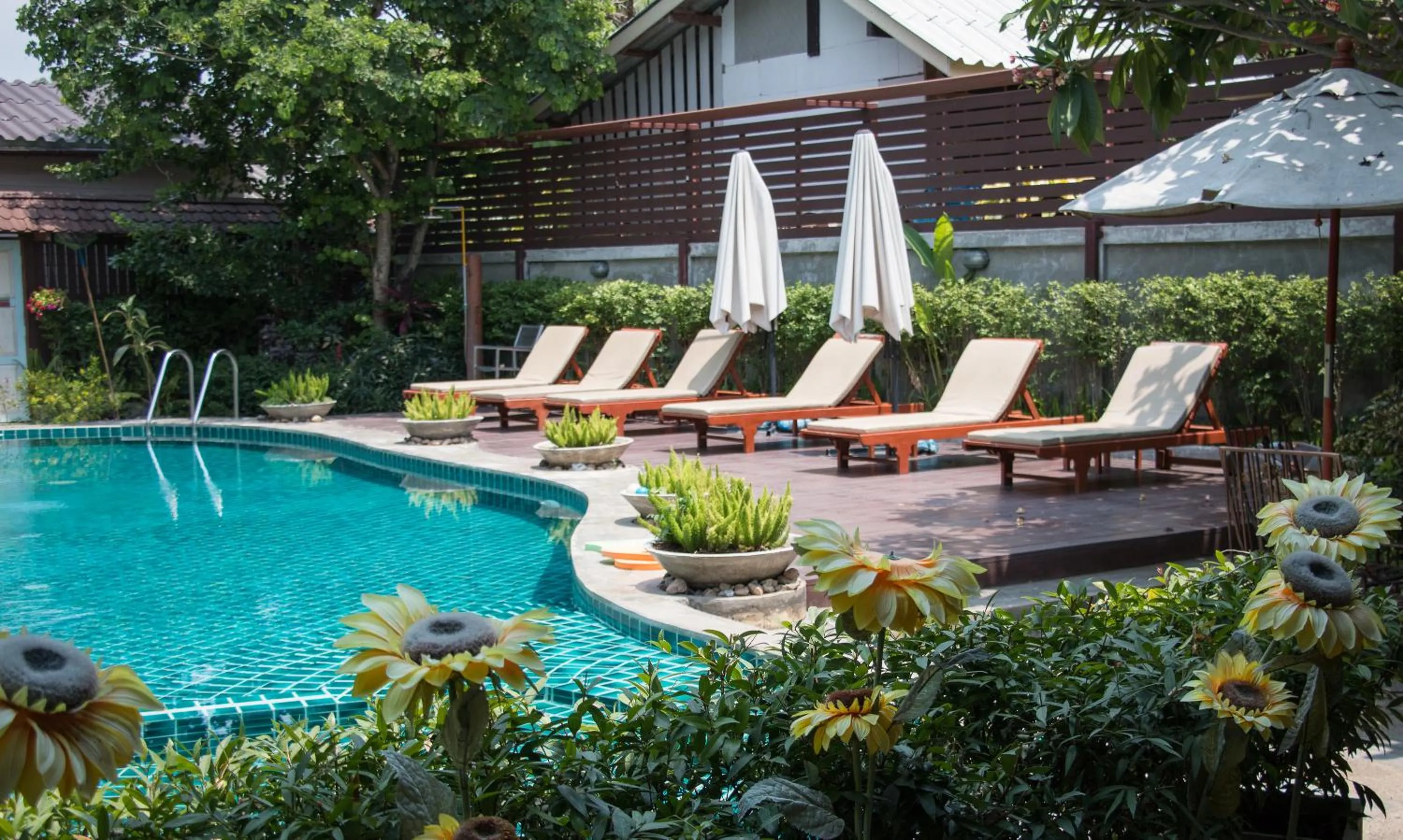 Swimming pool in Medio De Pai