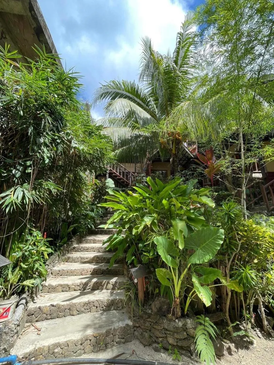 Garden view in Novie's Tourist Inn