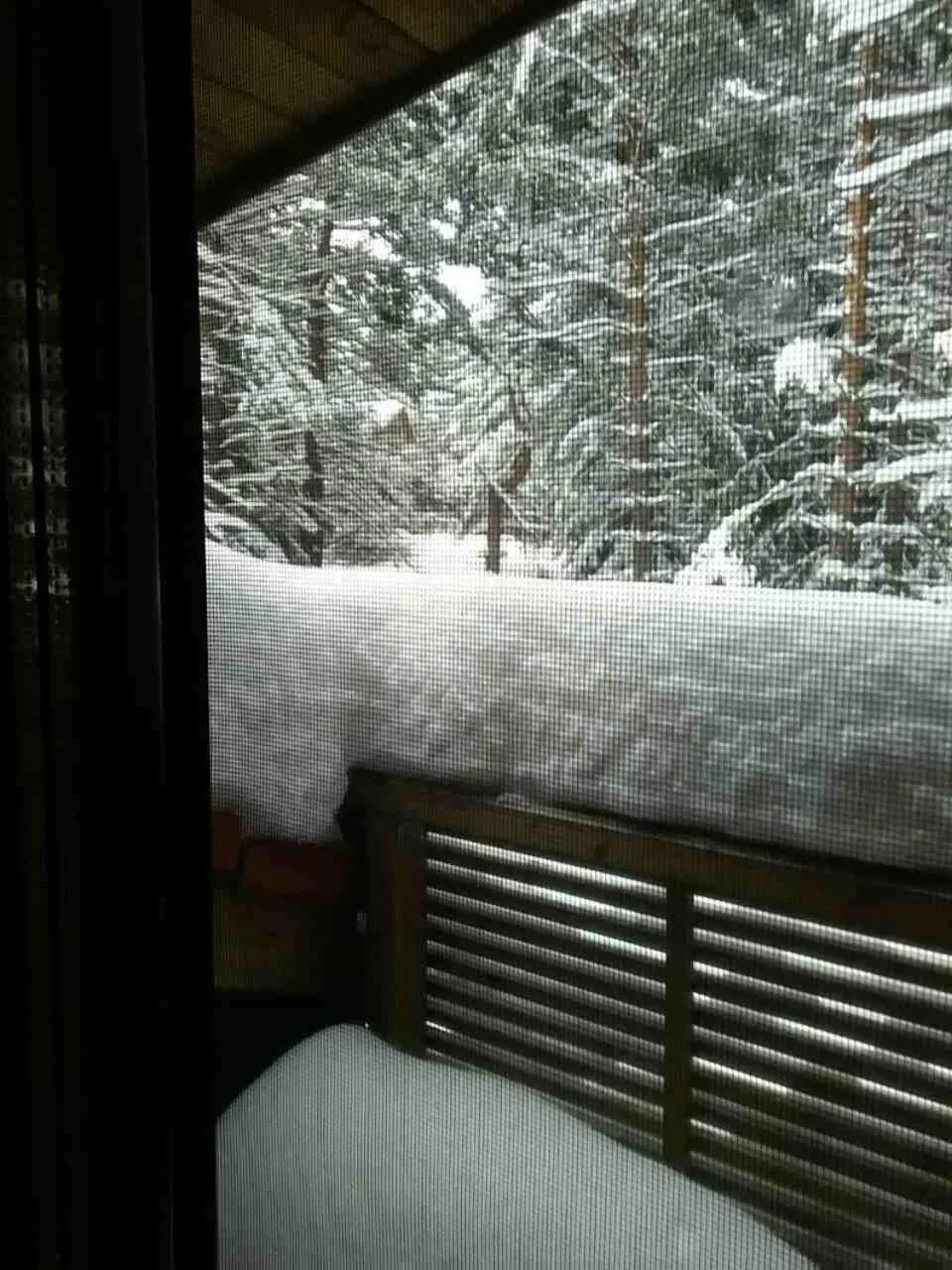 Mountain view in RILA 6ATO Hotel & Restaurant