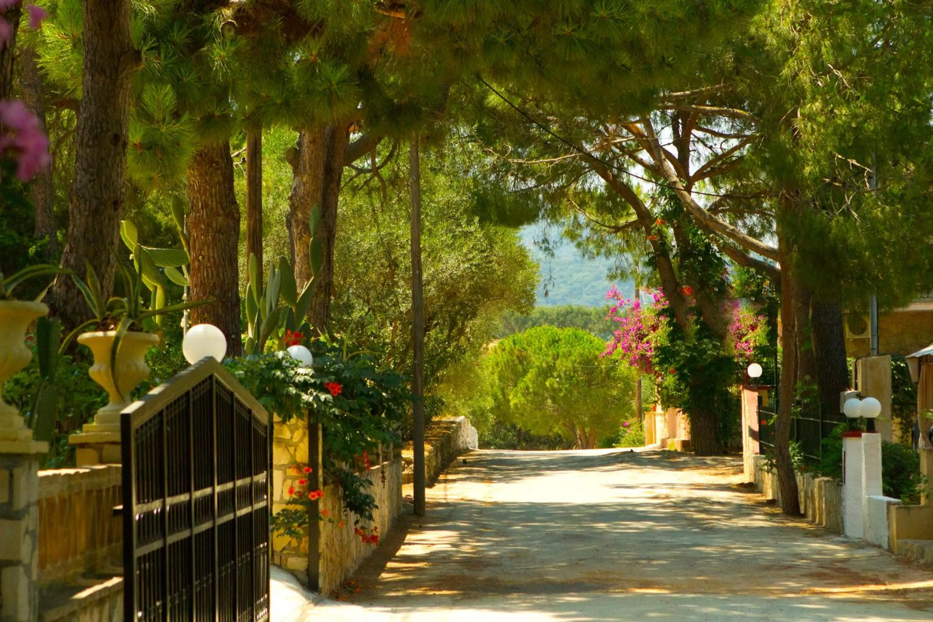 Neighbourhood in Pyrgaraki Studios and Apartments