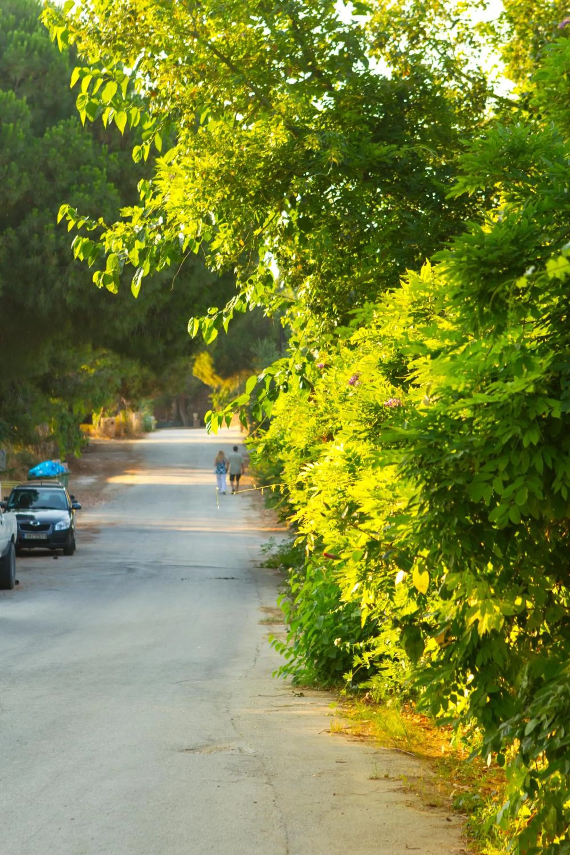 Neighbourhood in Pyrgaraki Studios and Apartments