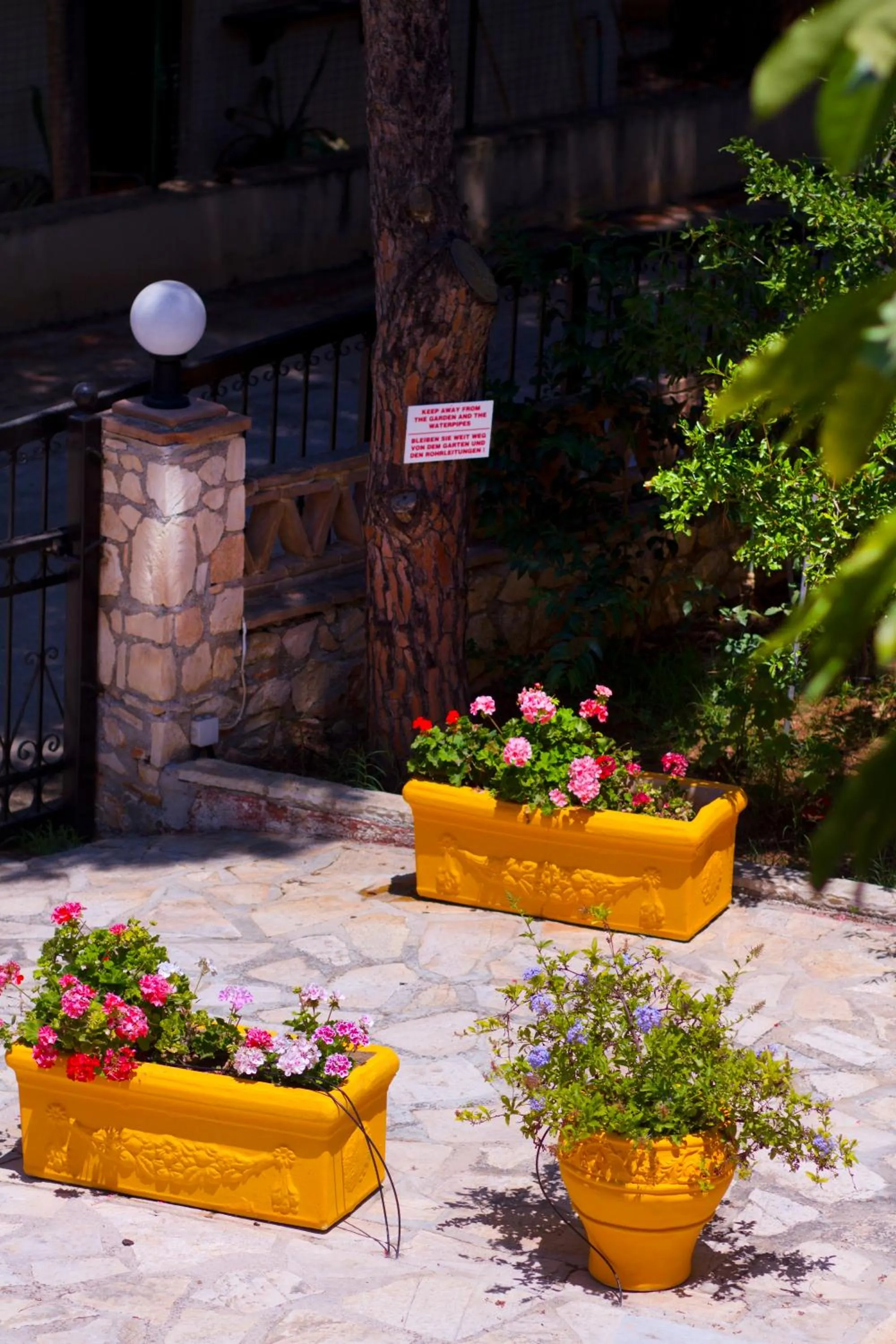 Garden in Pyrgaraki Studios and Apartments