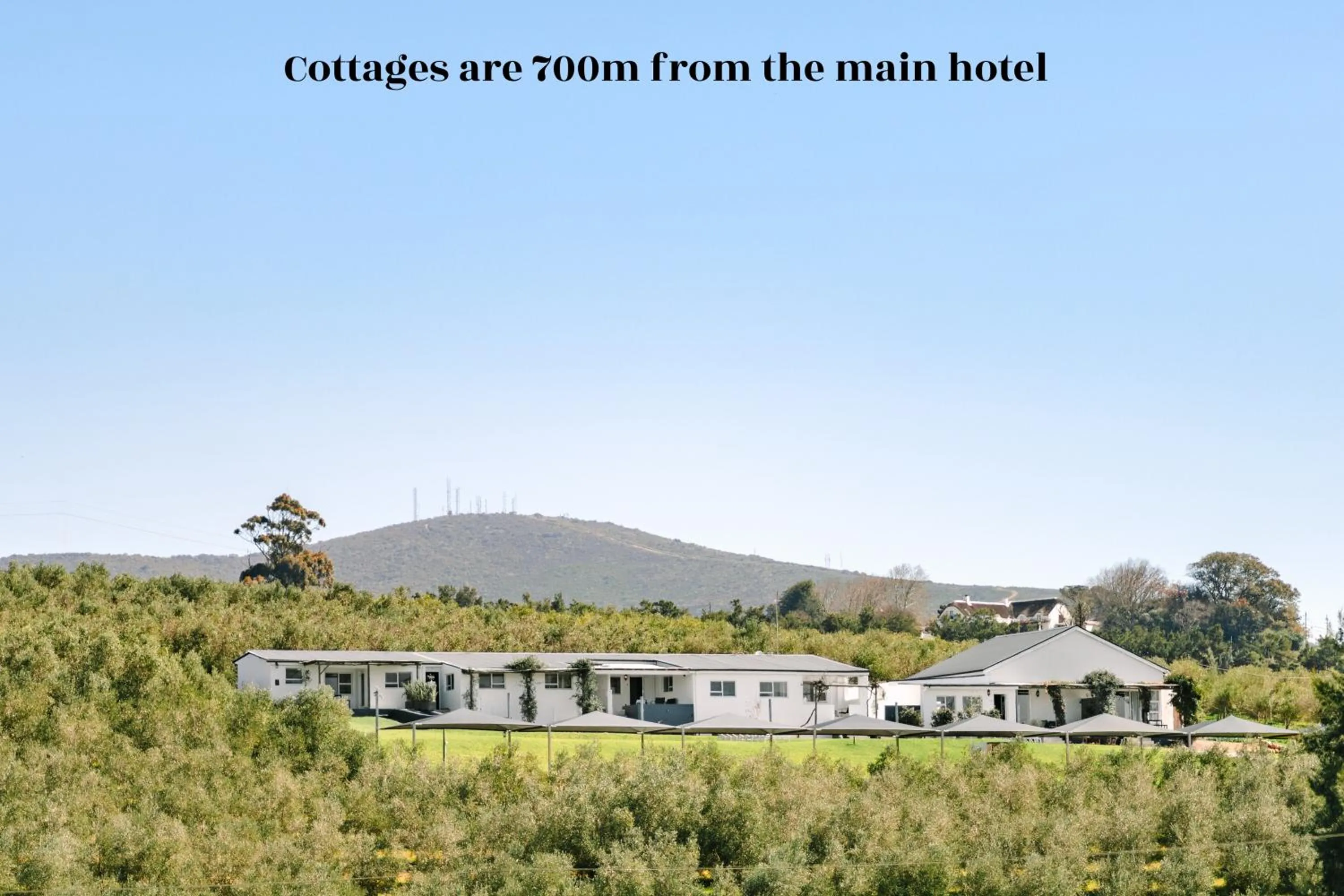 Garden in The Salene Hotel & Apartments